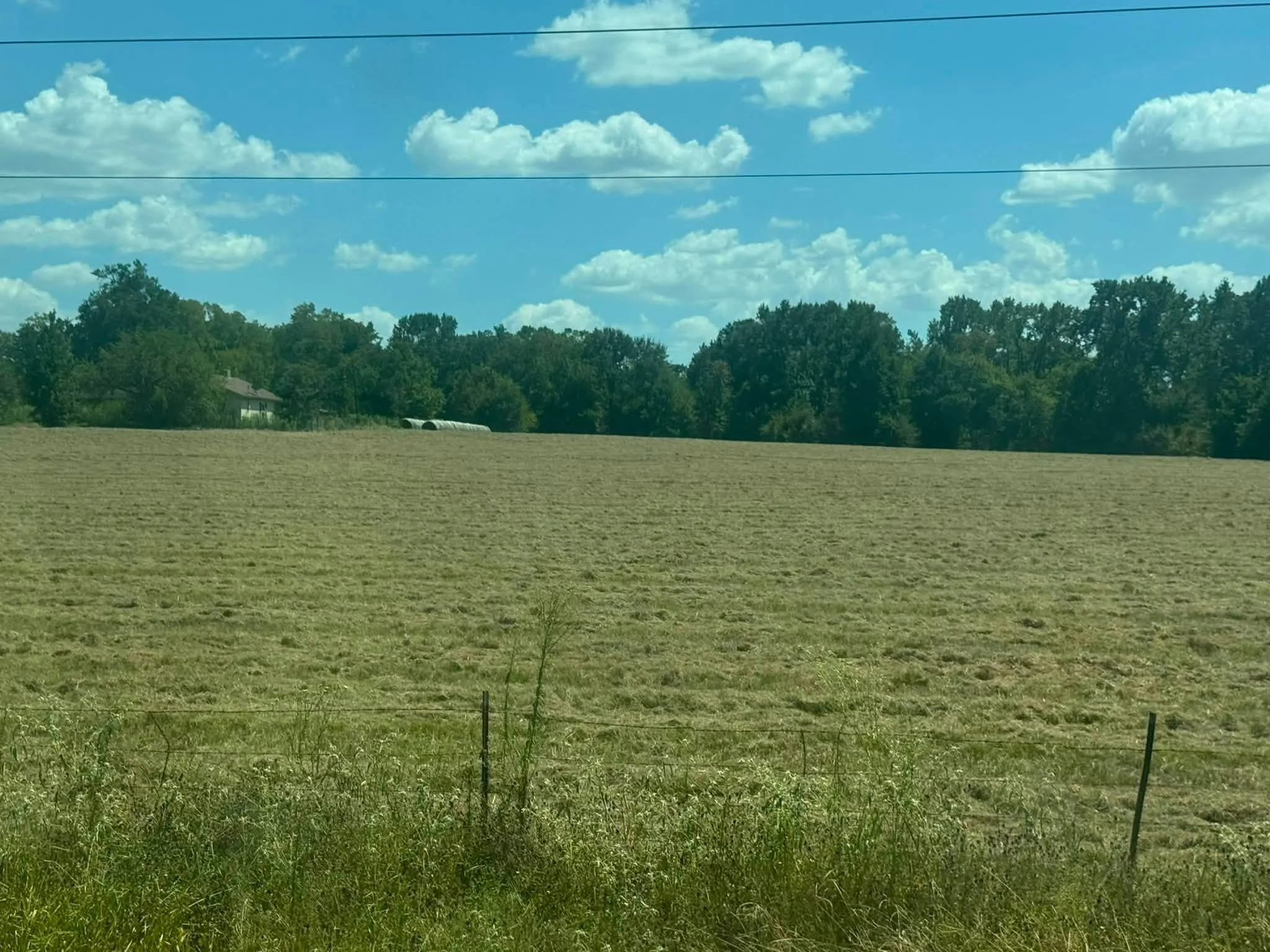 Landscape view of mowed pasture
