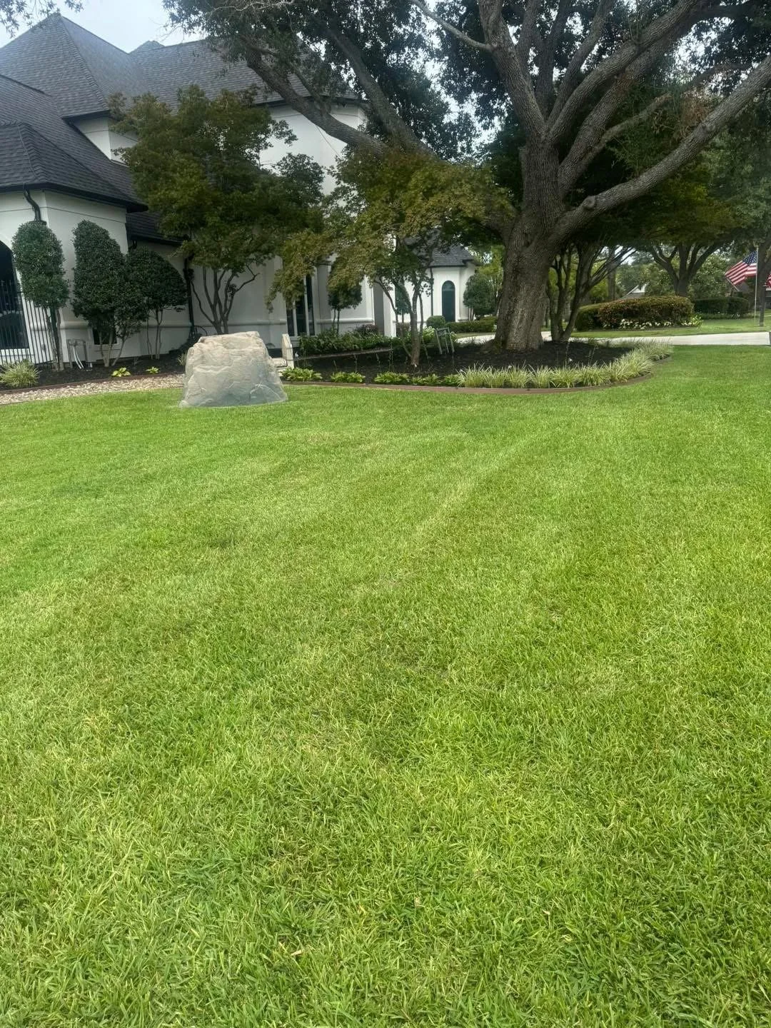 A well-maintained grassy yard with a large tree, some bushes, and a white house with dark roof shingles in the background.