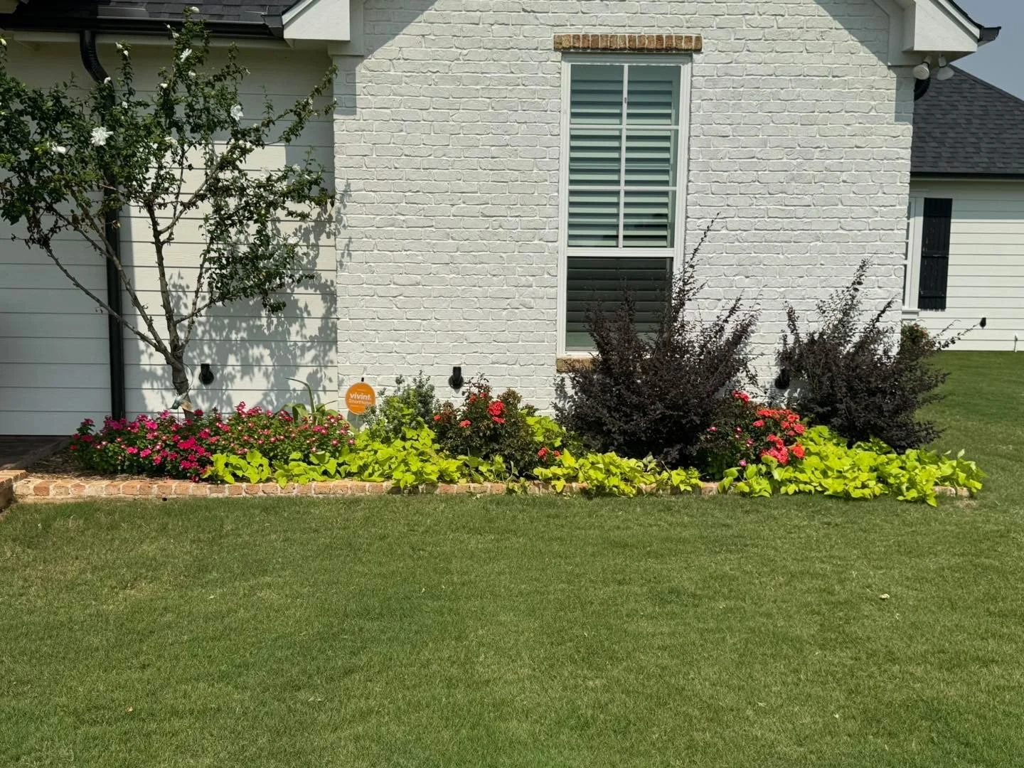 Front yard flower bed with pink and red flowers, green and purple bushes, a small tree, and a white brick house wall with a window.