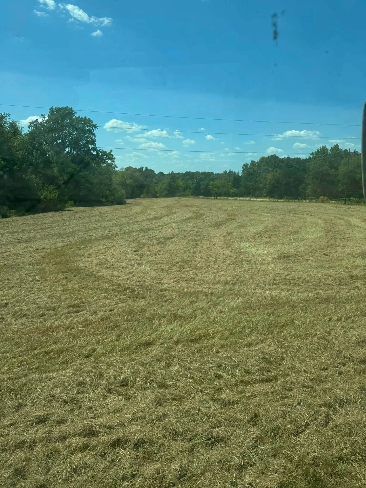 Large view of pasture after regular mowing and maintenance.