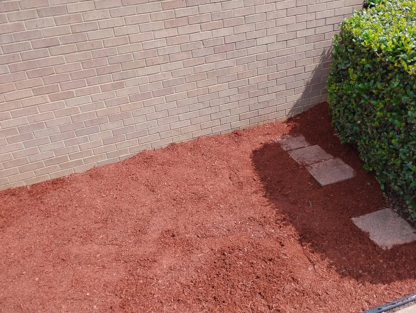 A section of outdoor yard with red mulch, a brick wall, and a hedge shrub. Two small concrete stepping stones are placed on the mulch.