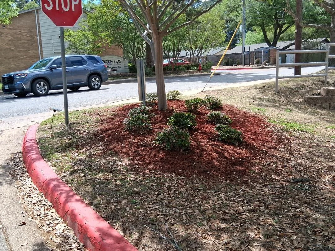 Decorative tree surrounded by flower bushes planted next to a street and stop sign.