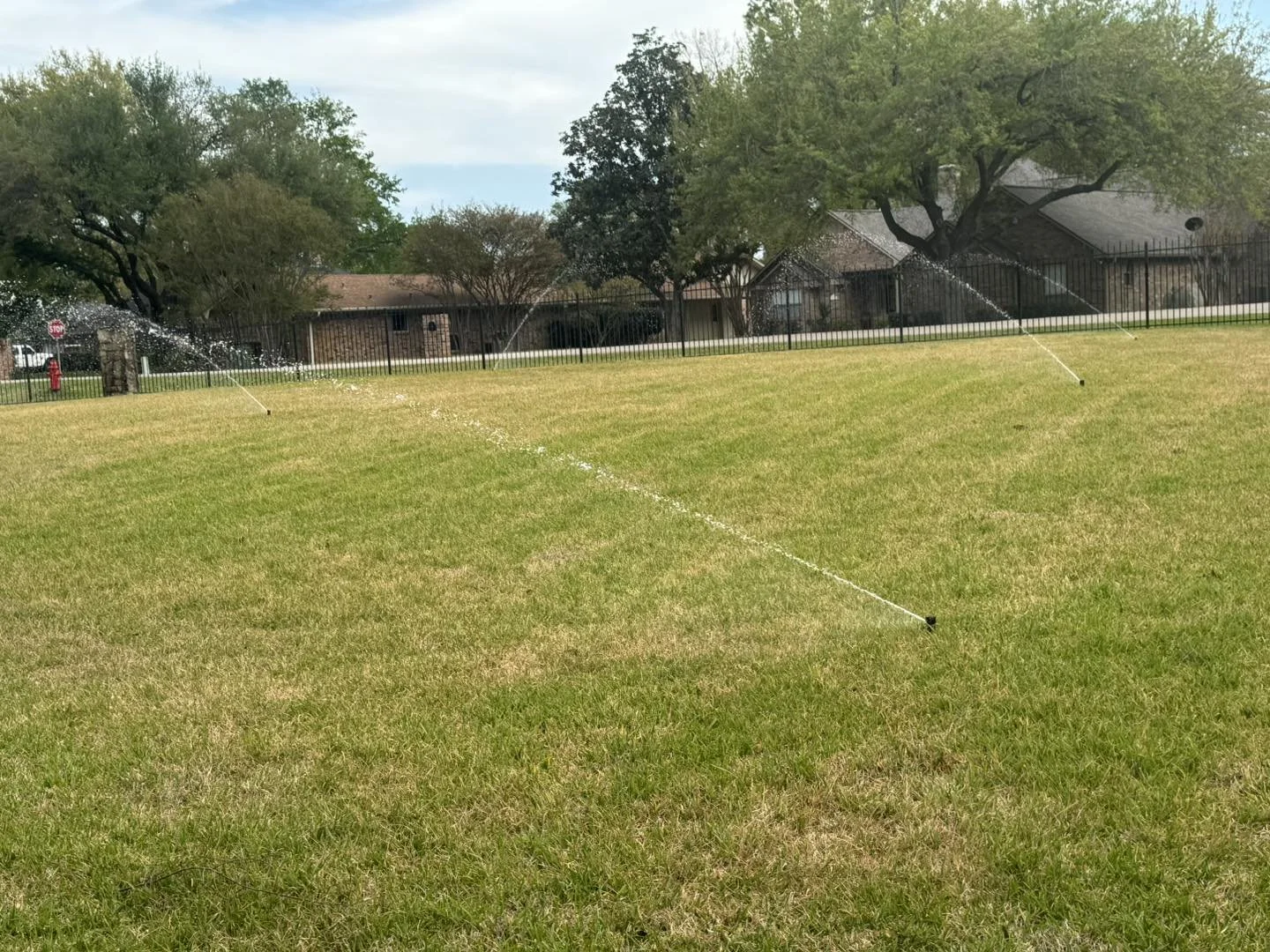 A grassy area being watered by multiple sprinklers in a residential neighborhood with houses, trees, and a fence in the background.
