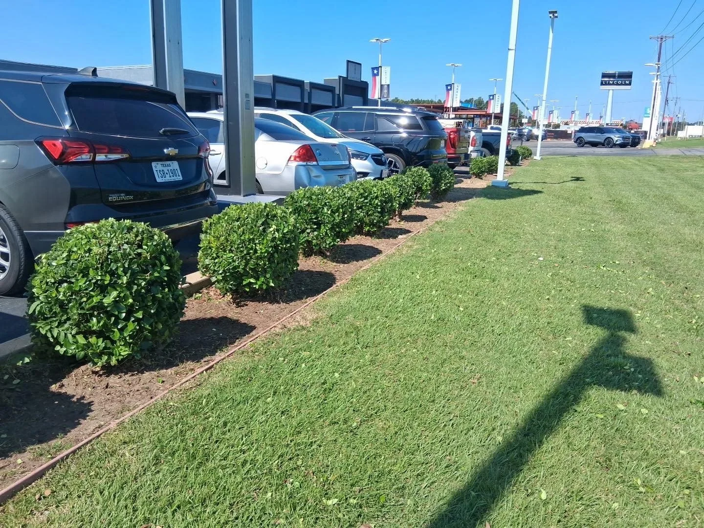 Car dealership parking lot with neatly trimmed bushes, parked cars, and a green lawn under a clear blue sky.