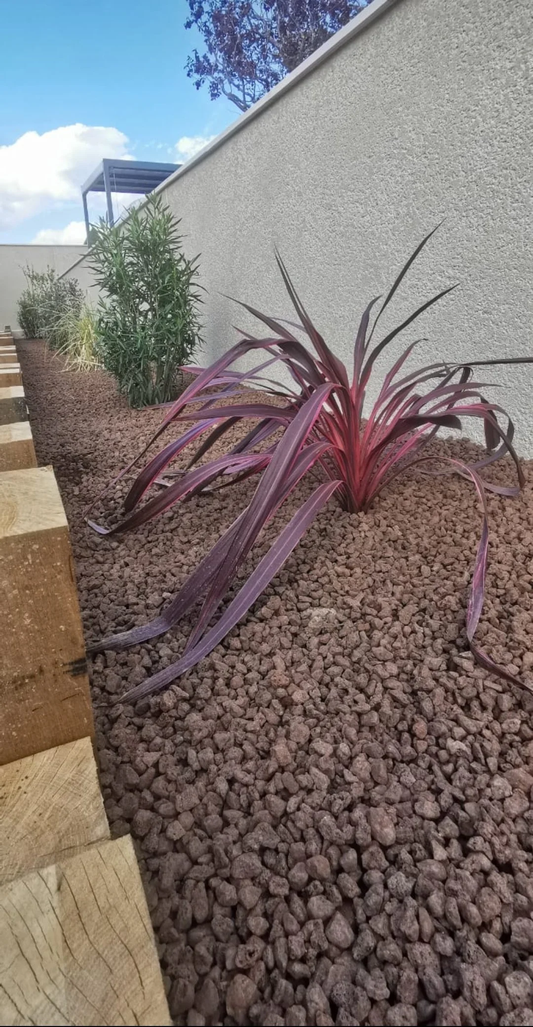 Screenshot_20240426_170953 (2).jpg