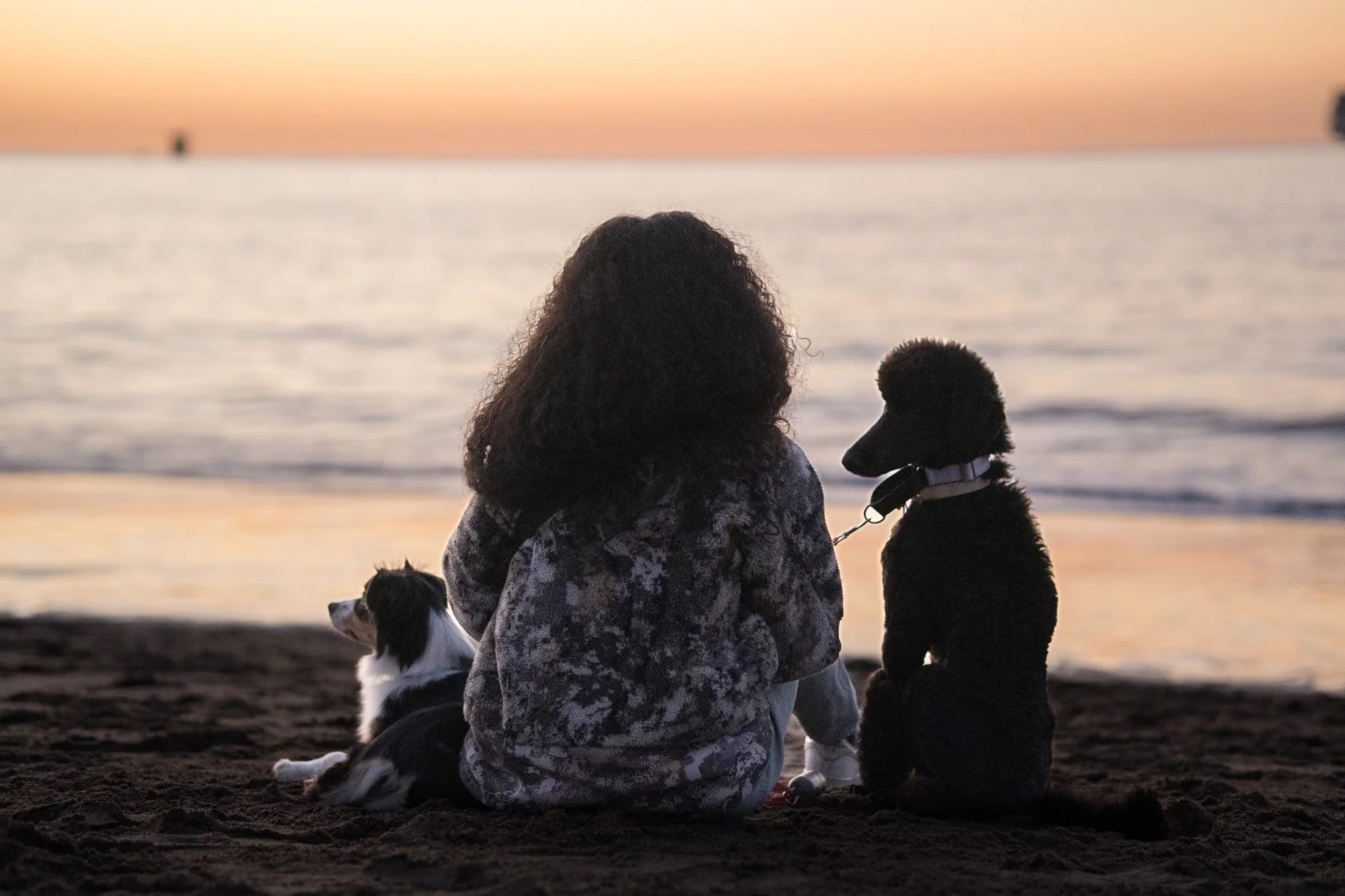 A woman with curly hair sitting on the beach during sunset, accompanied by two dogs, one sitting and one lying down, facing the ocean.