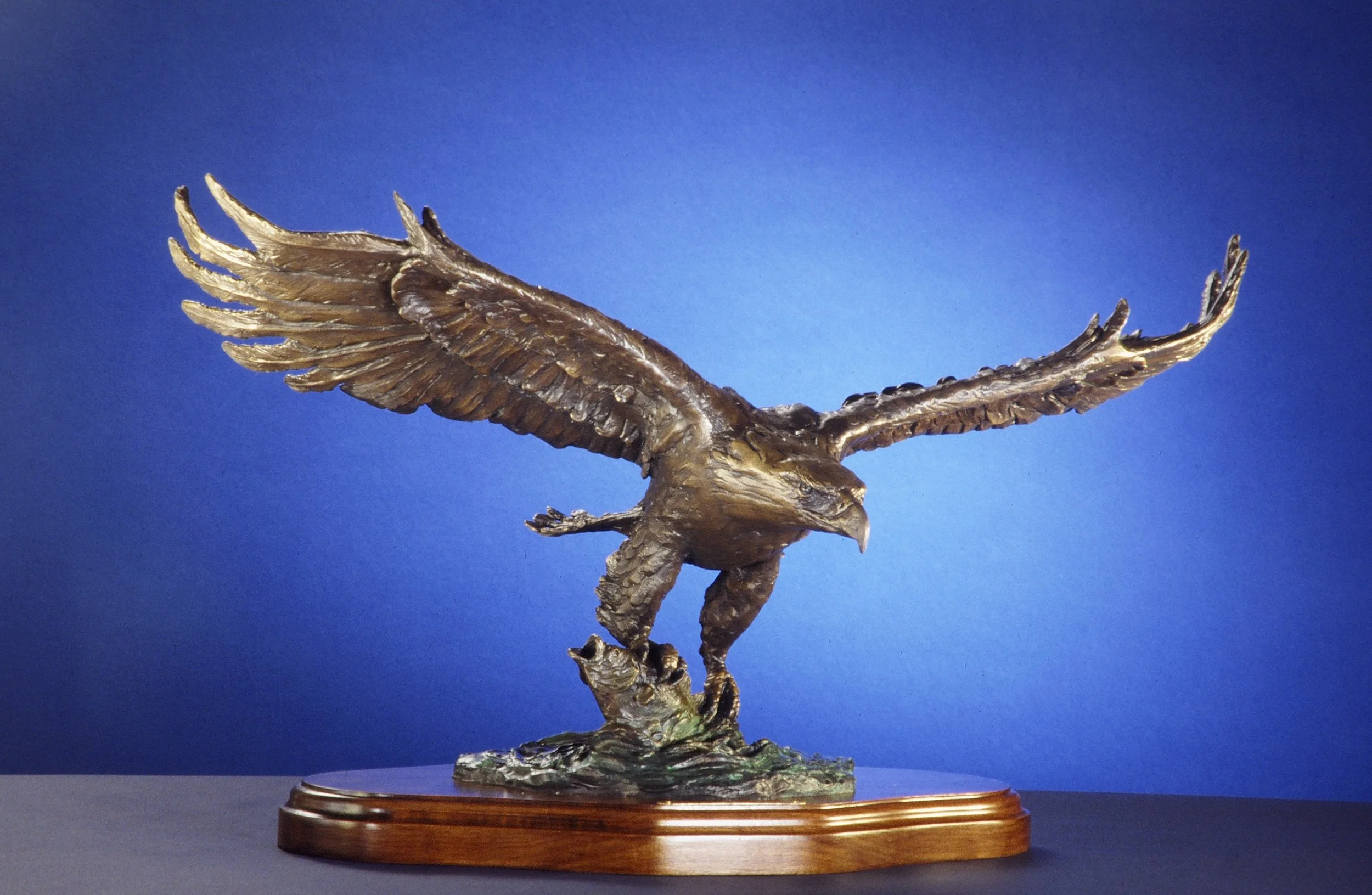 Master of the Sky4.JPG