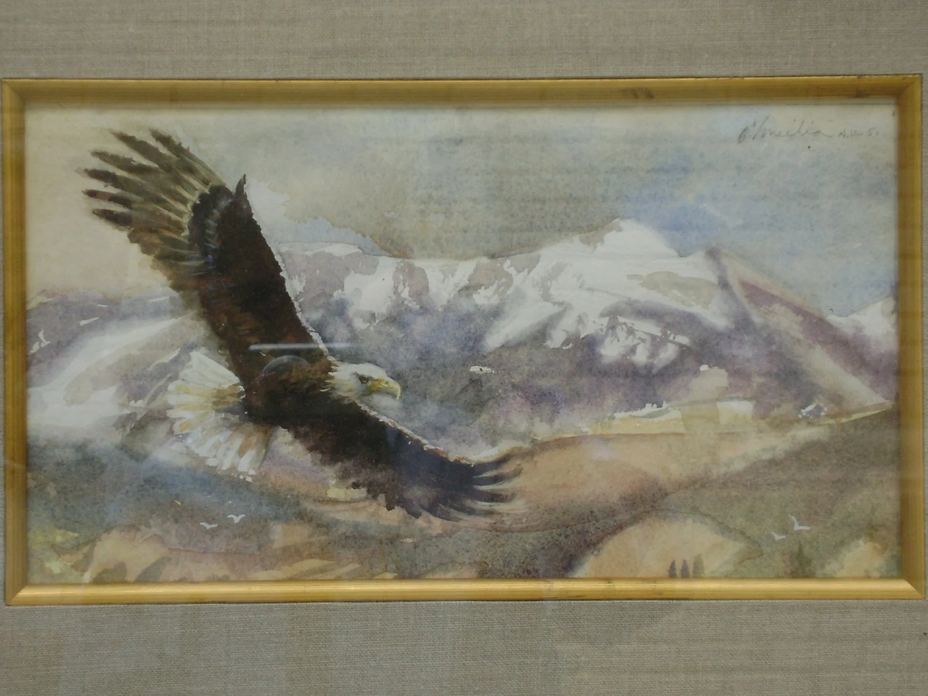 Master of the Sky