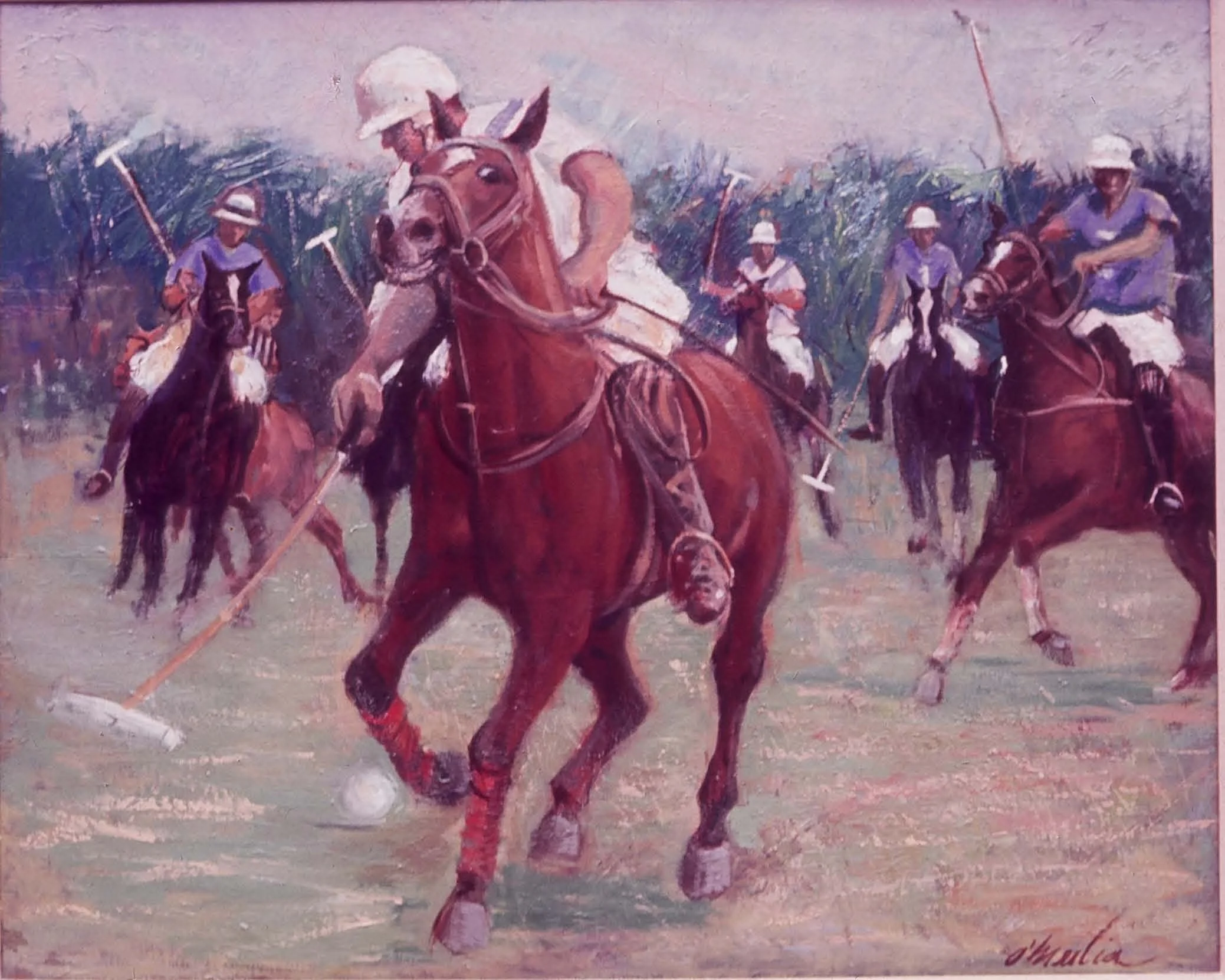 Polo.jpg