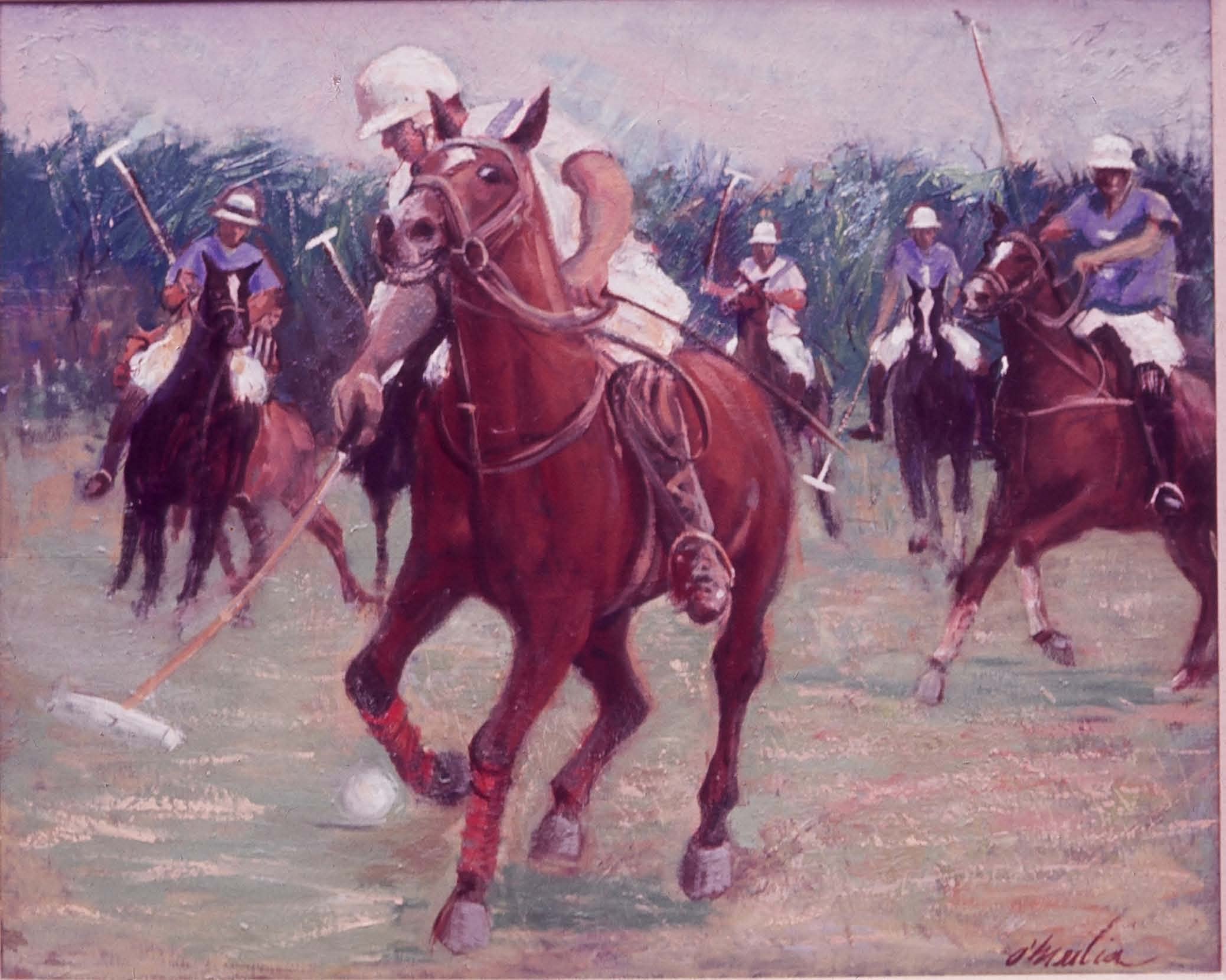 Polo.jpg