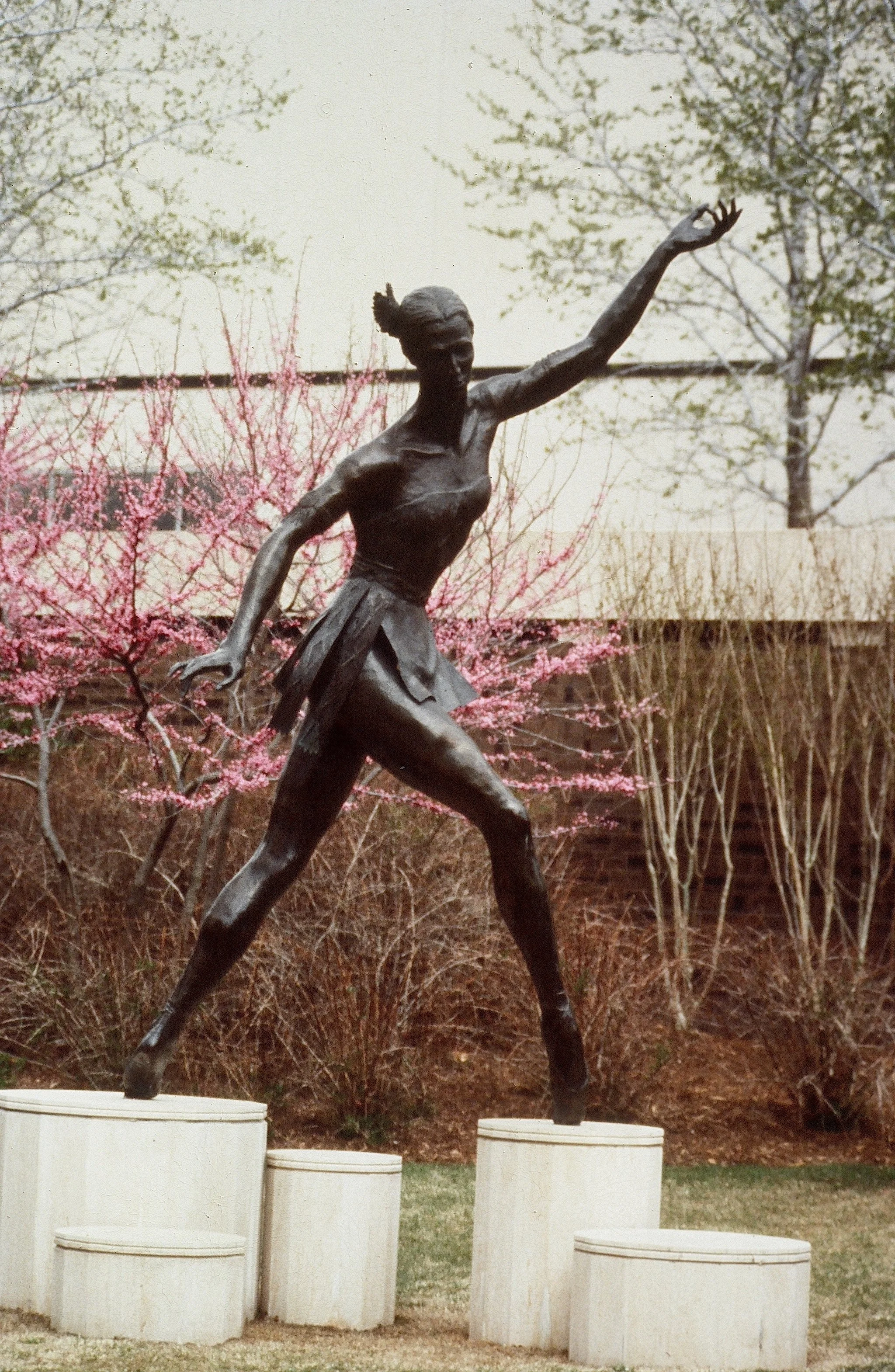 Indian Ballerina.JPG
