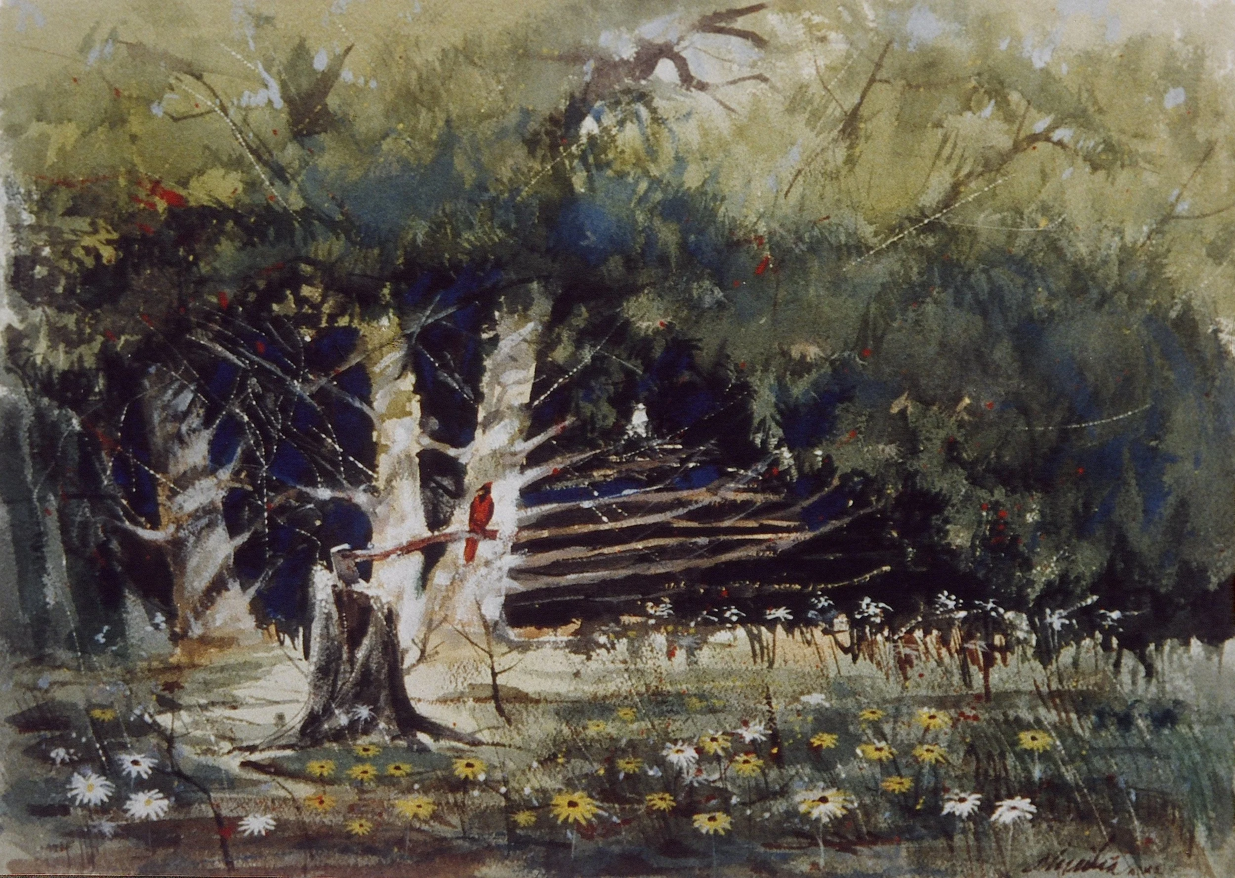 Nature3.JPG