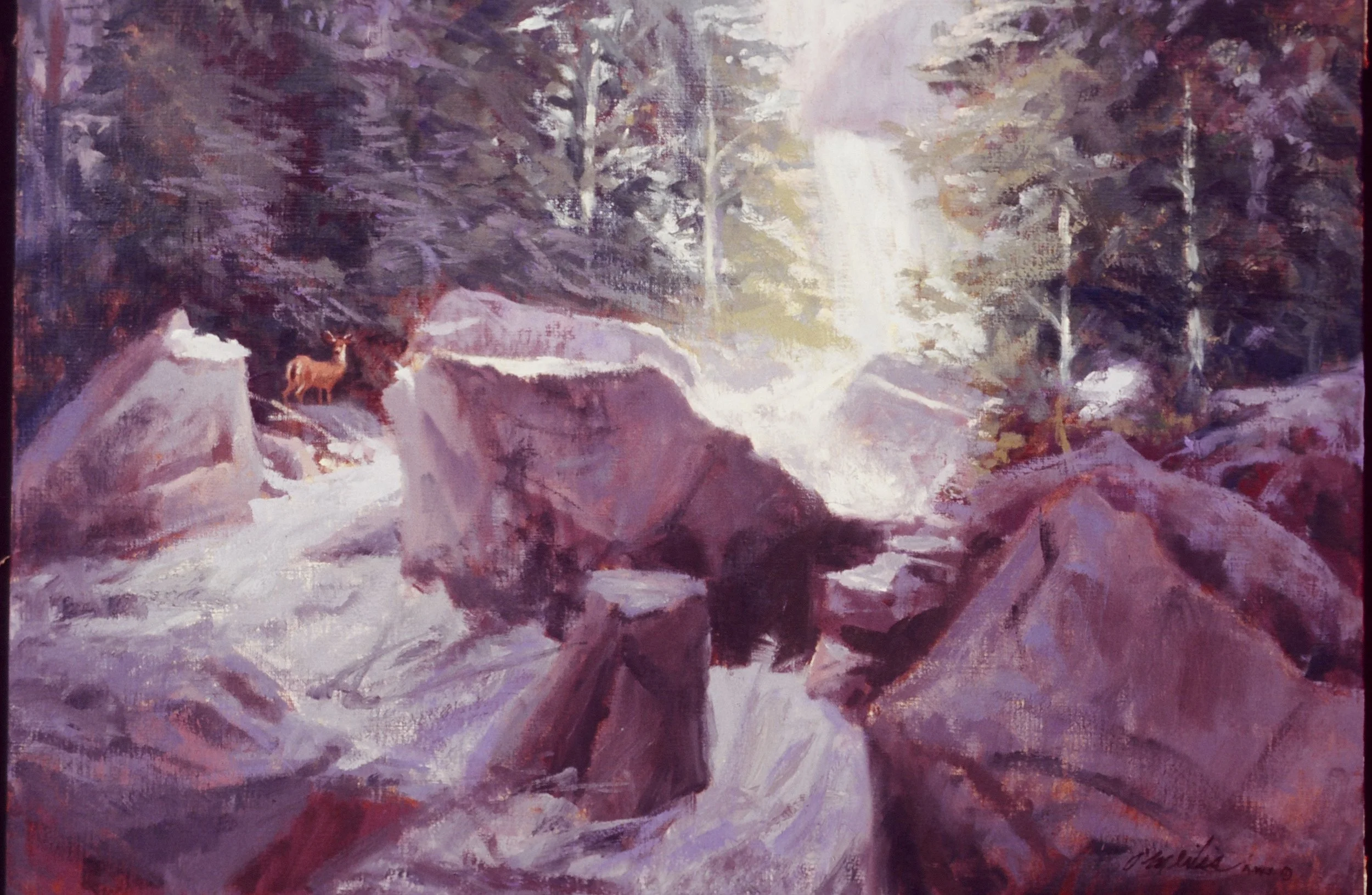 Nature.JPG
