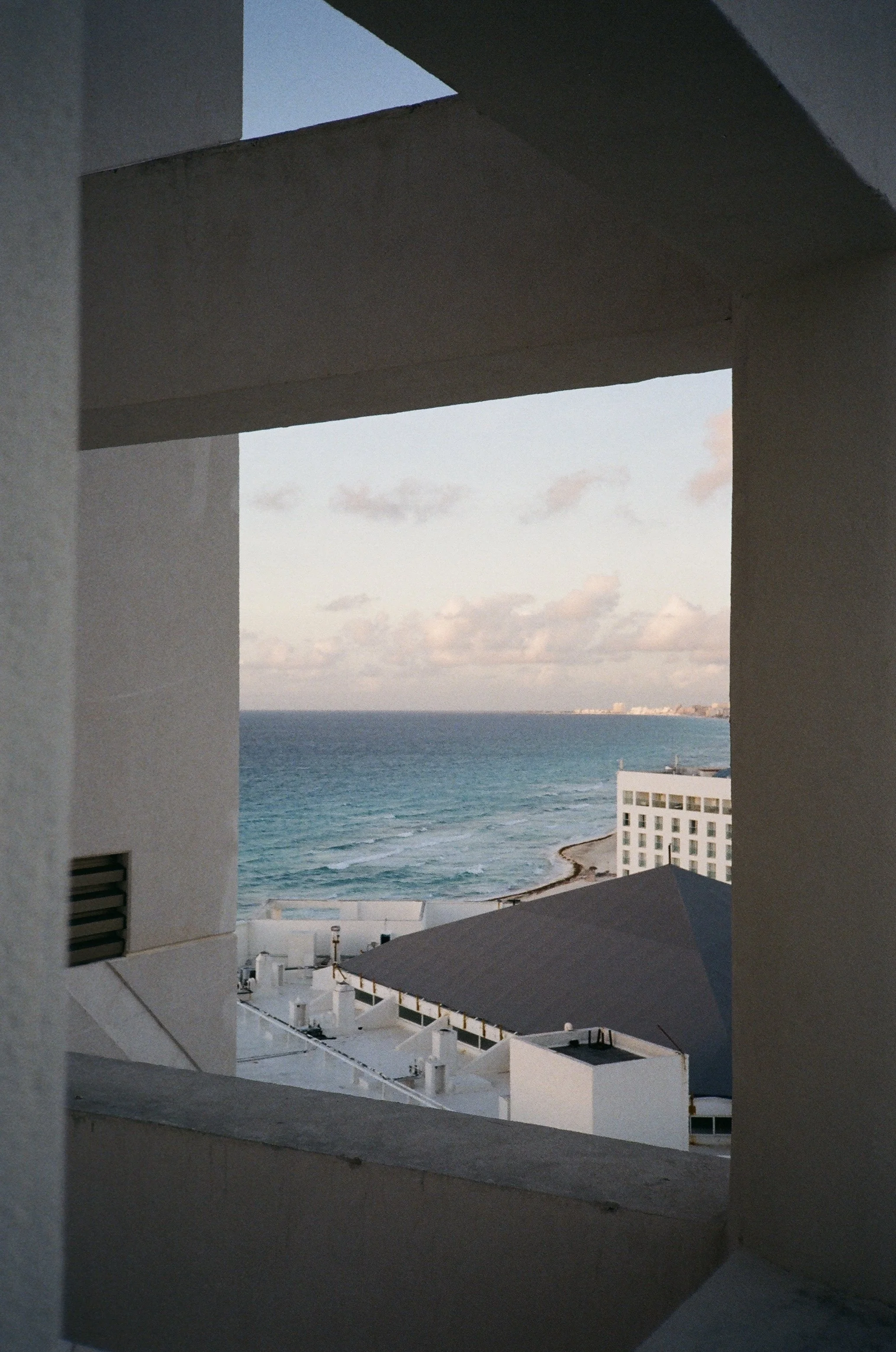 IMG_8556.jpg