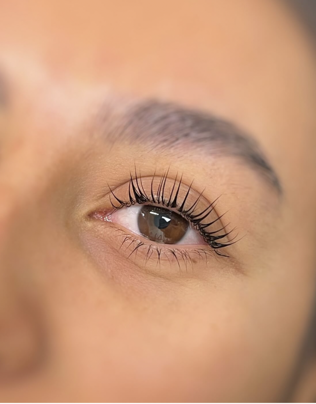 Customized brow lamination in Pacific Beach San Diego including shaping and tinting