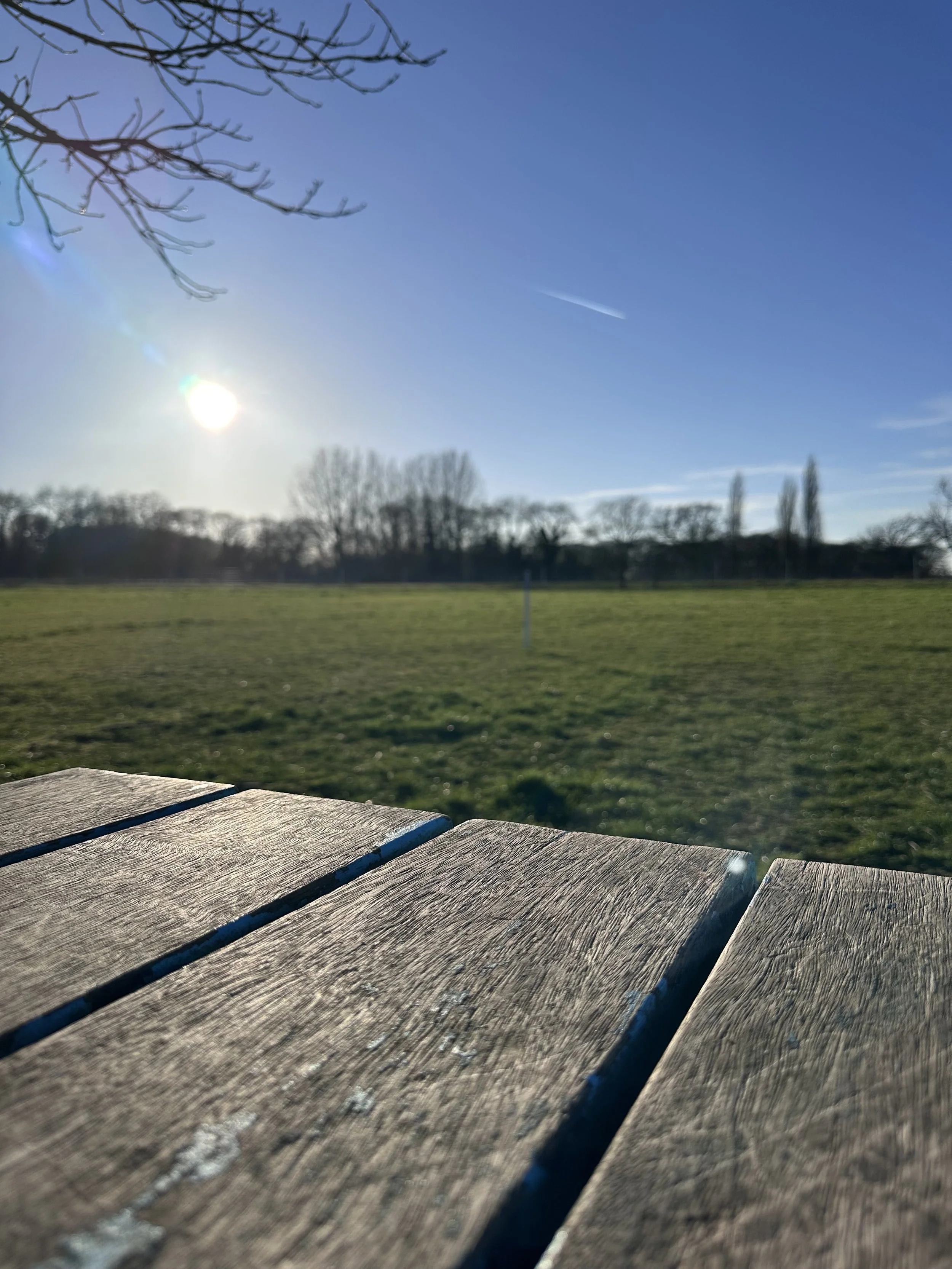 IMG_3501.jpeg