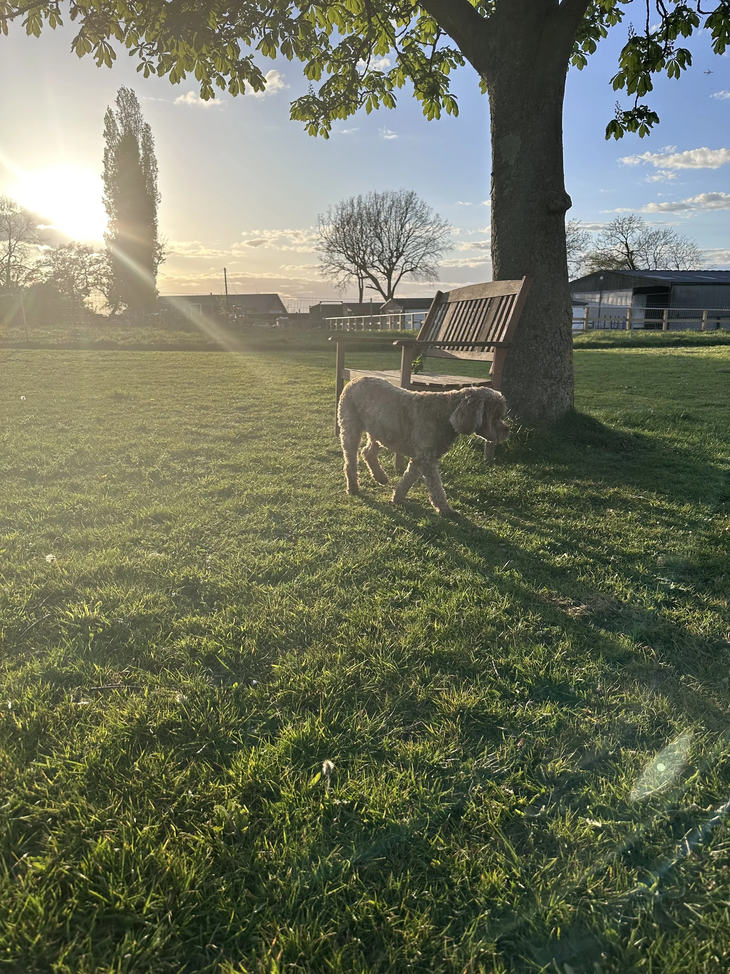 IMG_3804.jpeg