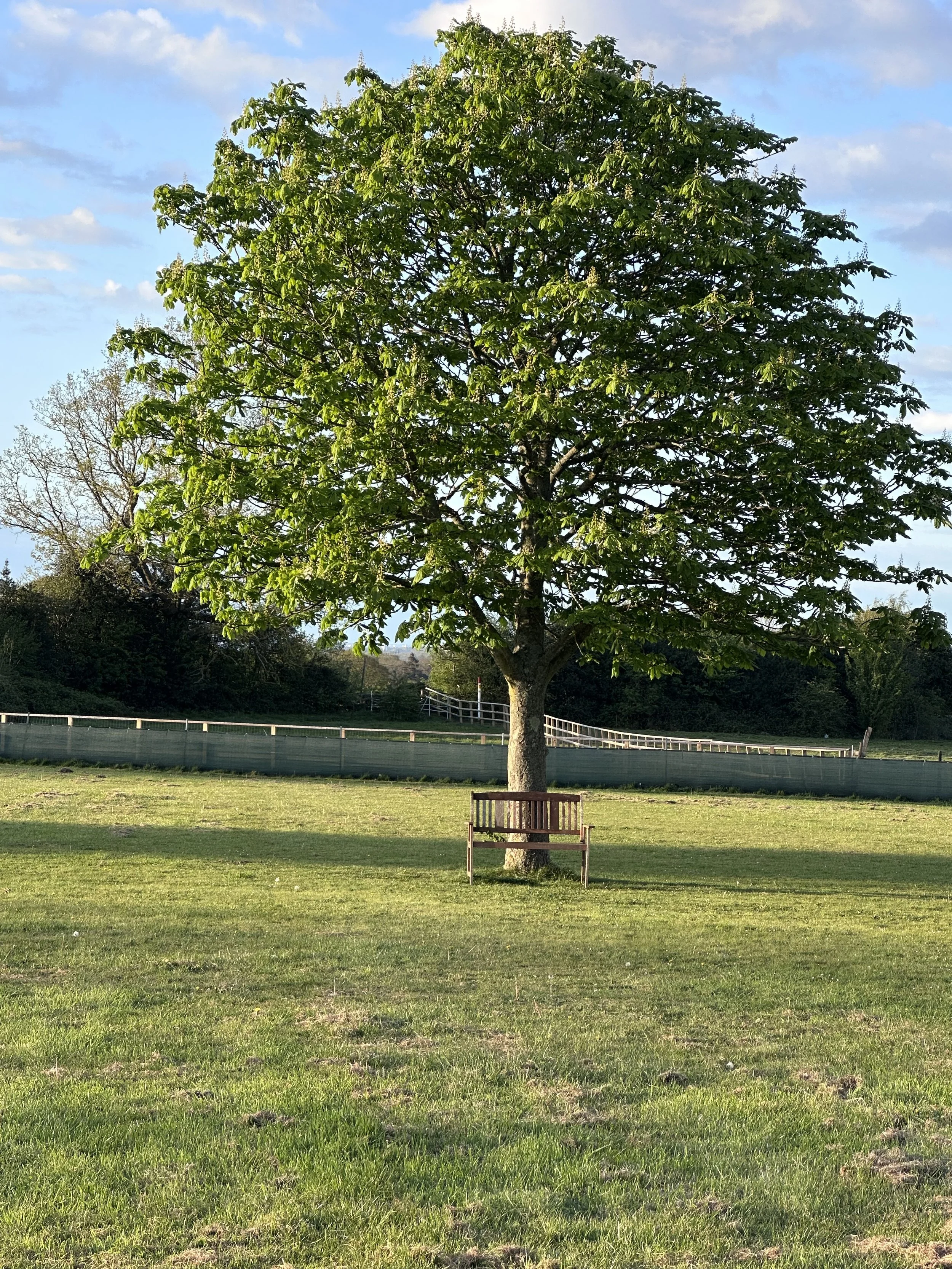 IMG_3798.jpeg