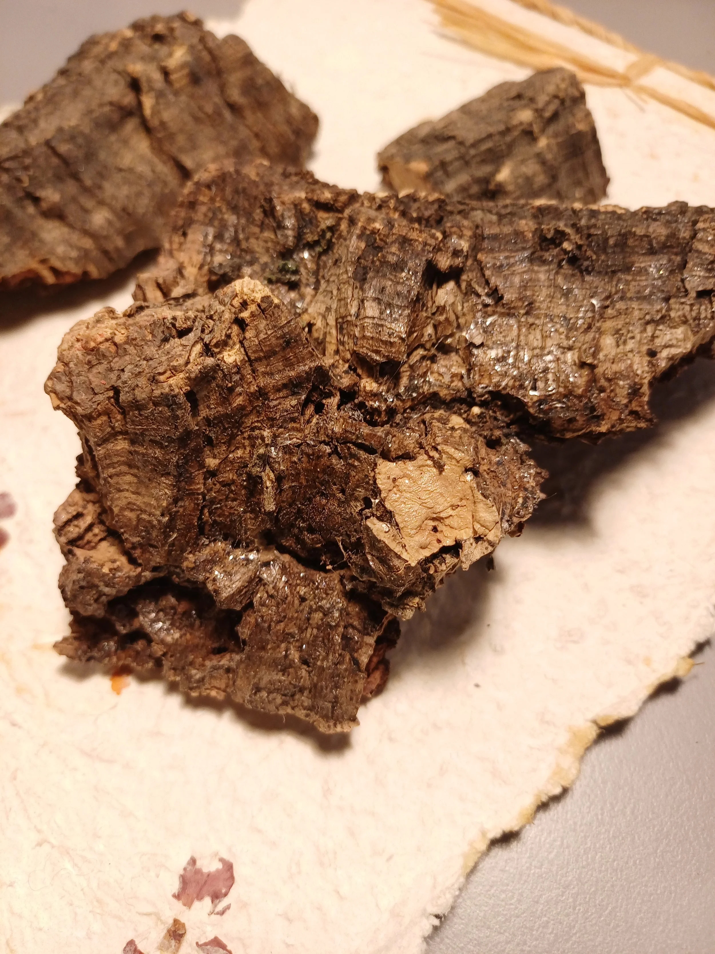 Sostenibilità e art oggetti in rame — Natasha Lume