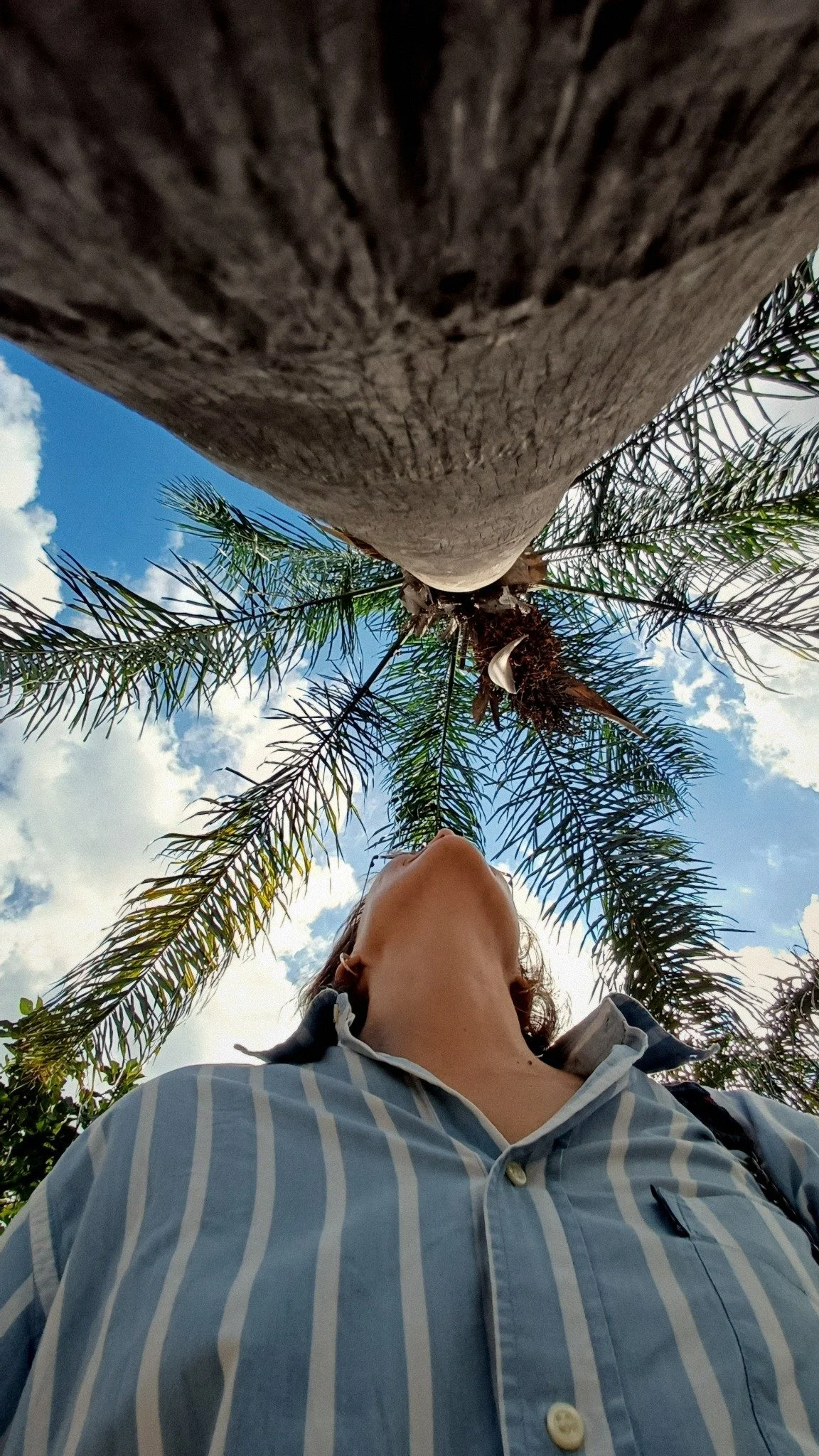 Natasha Lume in Versilia (Toscana): scatto dal basso sotto una palma, cielo azzurro e nuvole. Luce e paesaggio che ispirano i miei art objects in rame di Atelier delle Cose Vive.