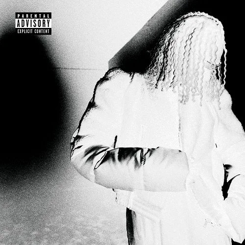 Rich Amiri - Paranoid (unused)