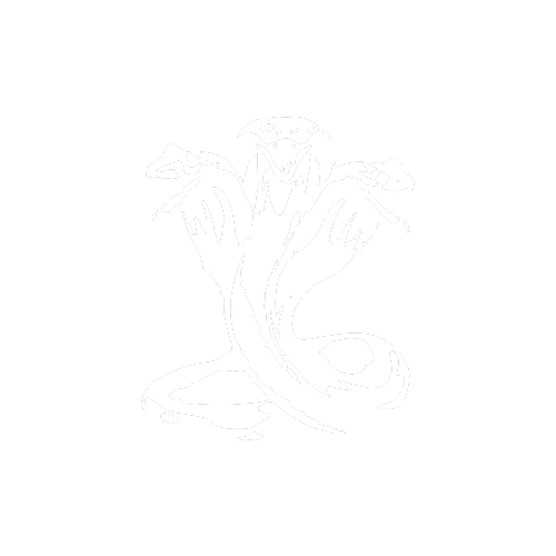 Frame 979235386321.png