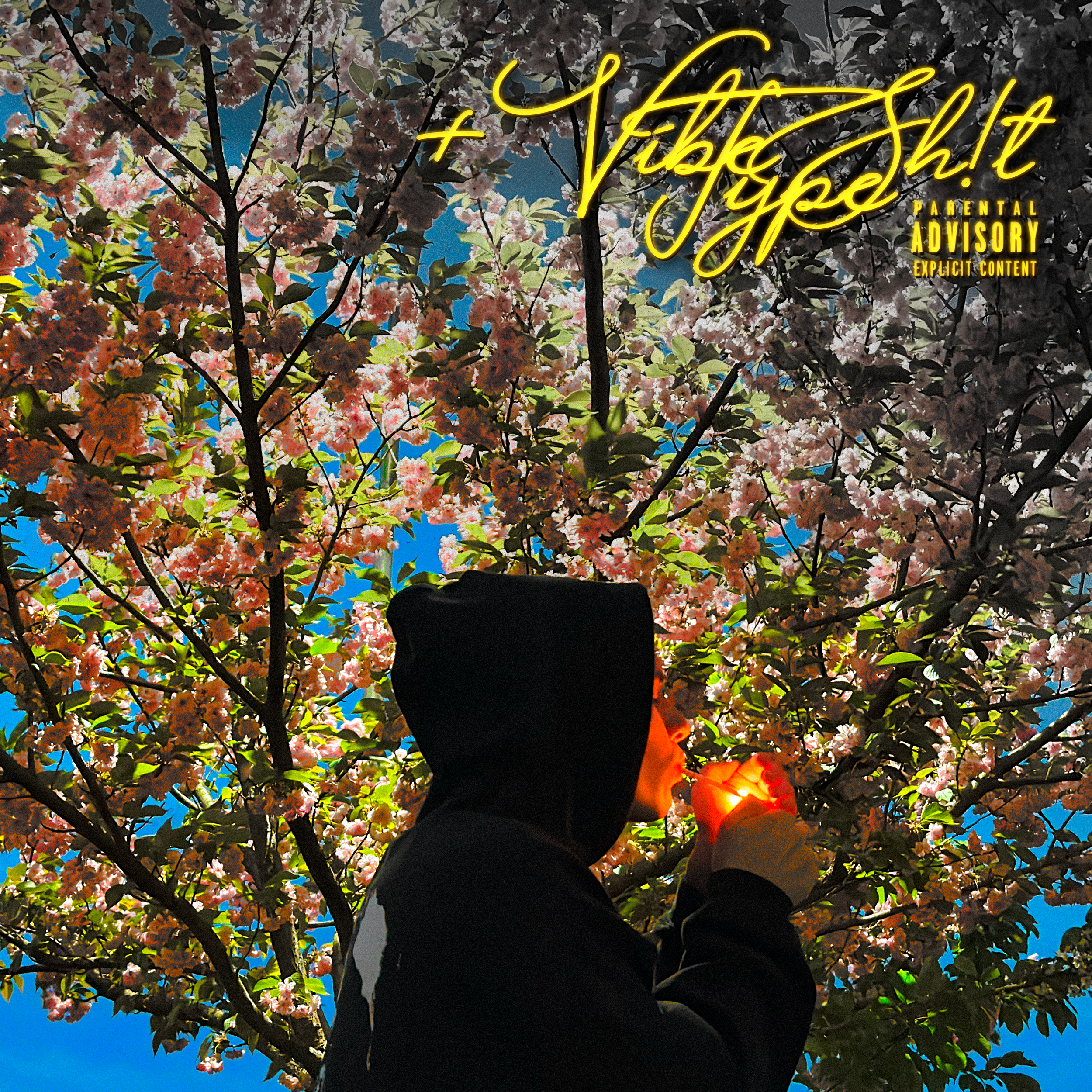 blesstii - +Vibe Type Sh!t