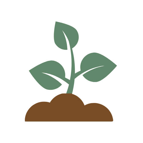 A young plant with green leaves growing from soil.