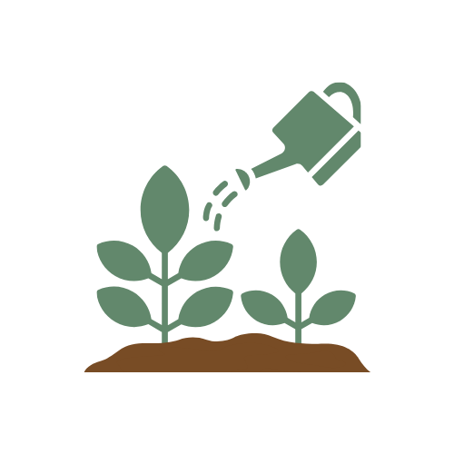 Illustration of watering plants in soil with a watering can.