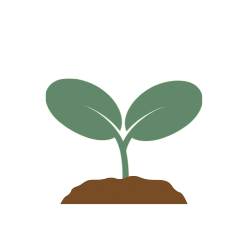 Illustration of a young plant with two green leaves sprouting from soil.