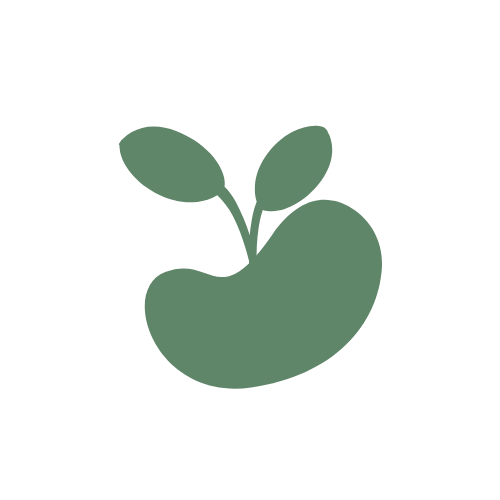 Green sprout with two leaves emerging from a bean-shaped base.