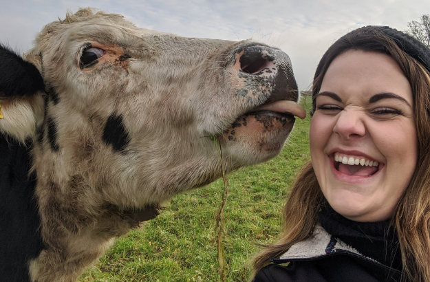 A woman laughing as a cow appears to lick her face in a grassy field.
