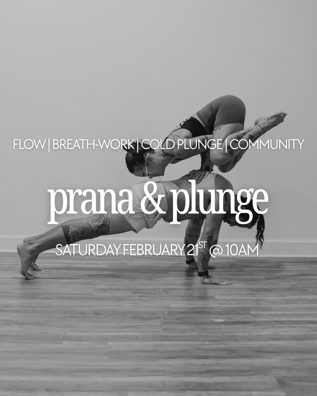Prana & Plunge.png