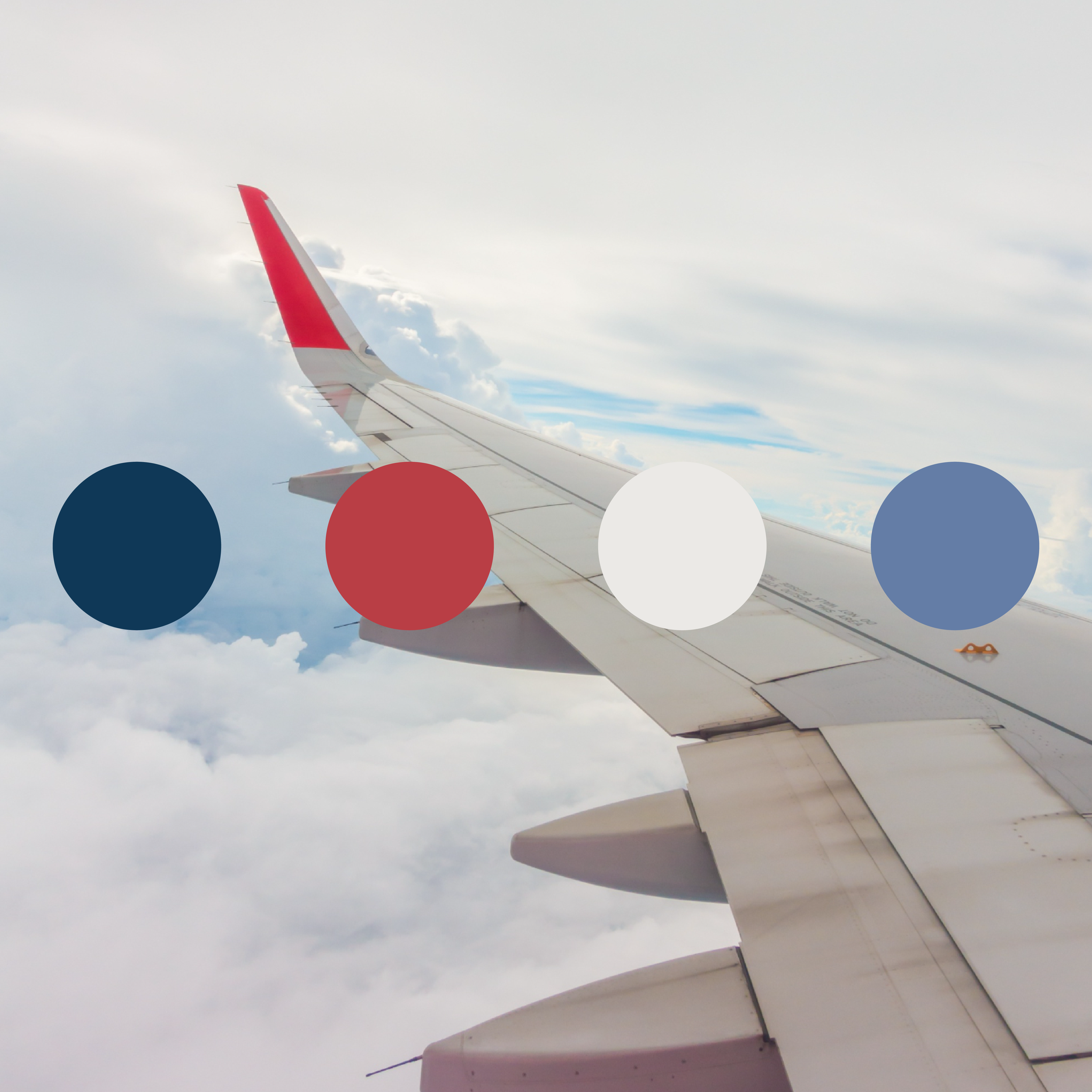 Bravo Aviation Color Palette