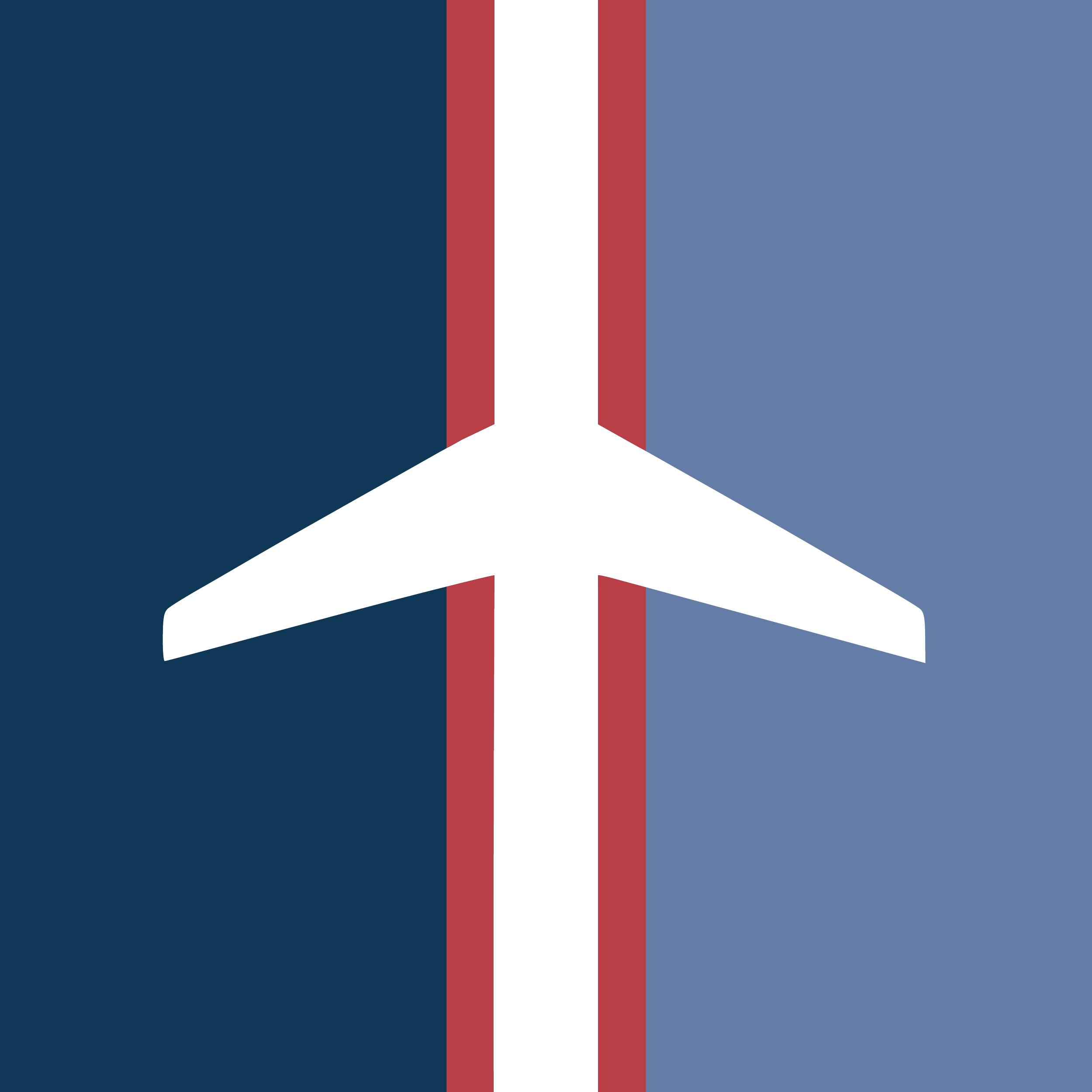 Bravo Aviation Artwork