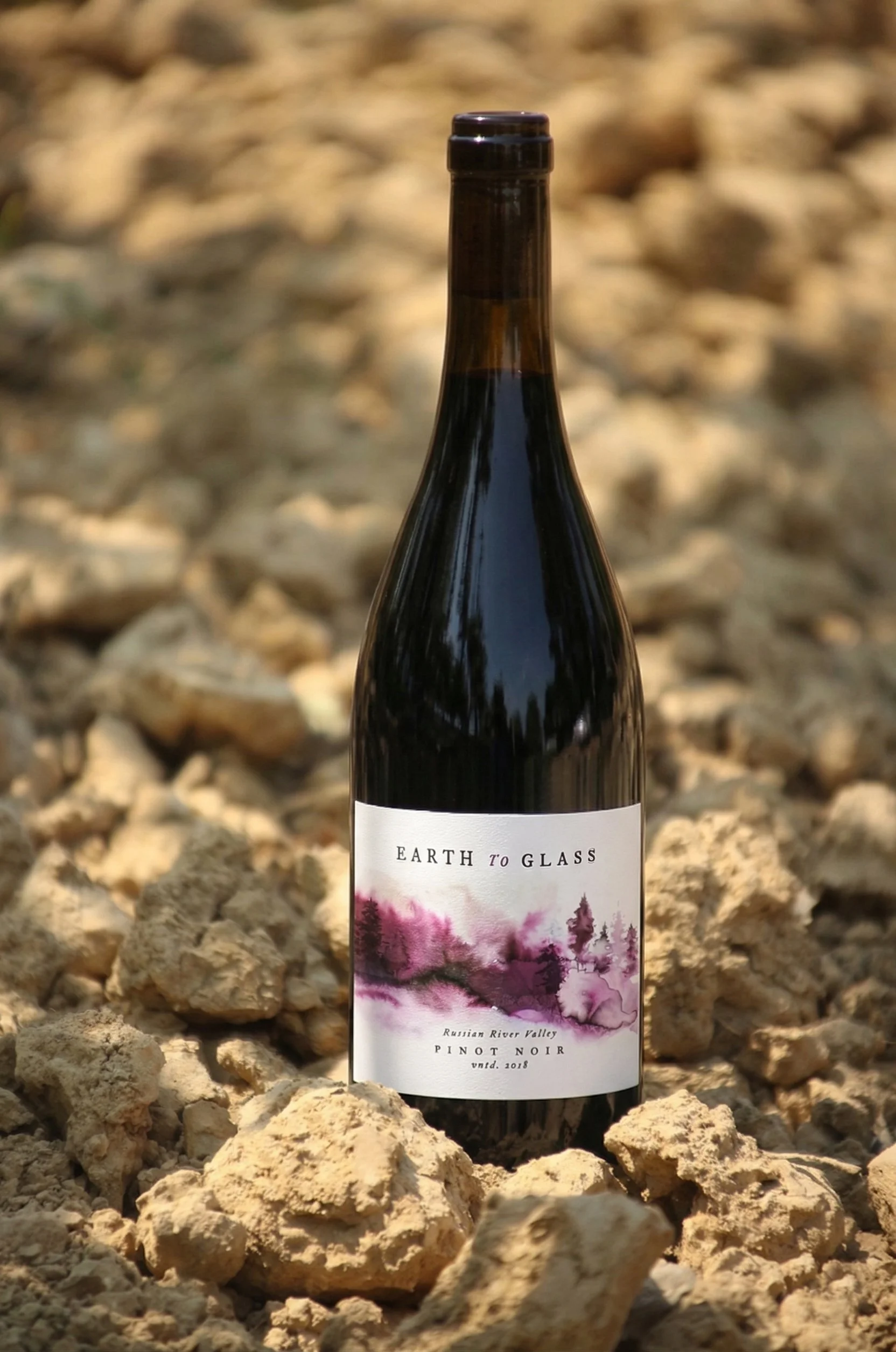 EarthToGlass copy.jpg