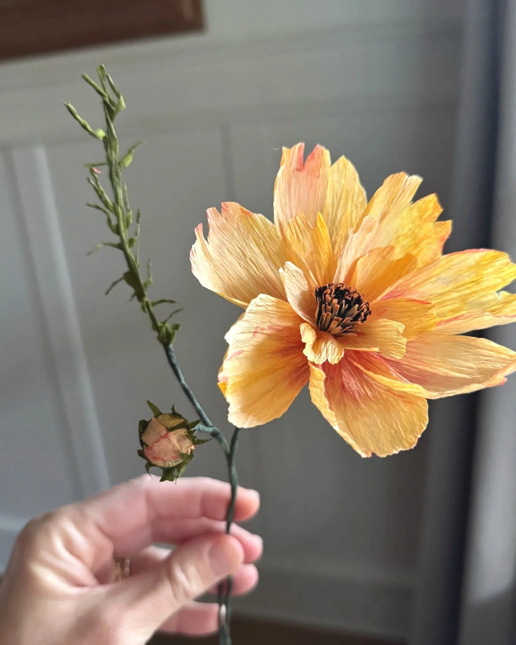 A hand holding a stem with a large peach-colored flower in full bloom and a small bud on the side.