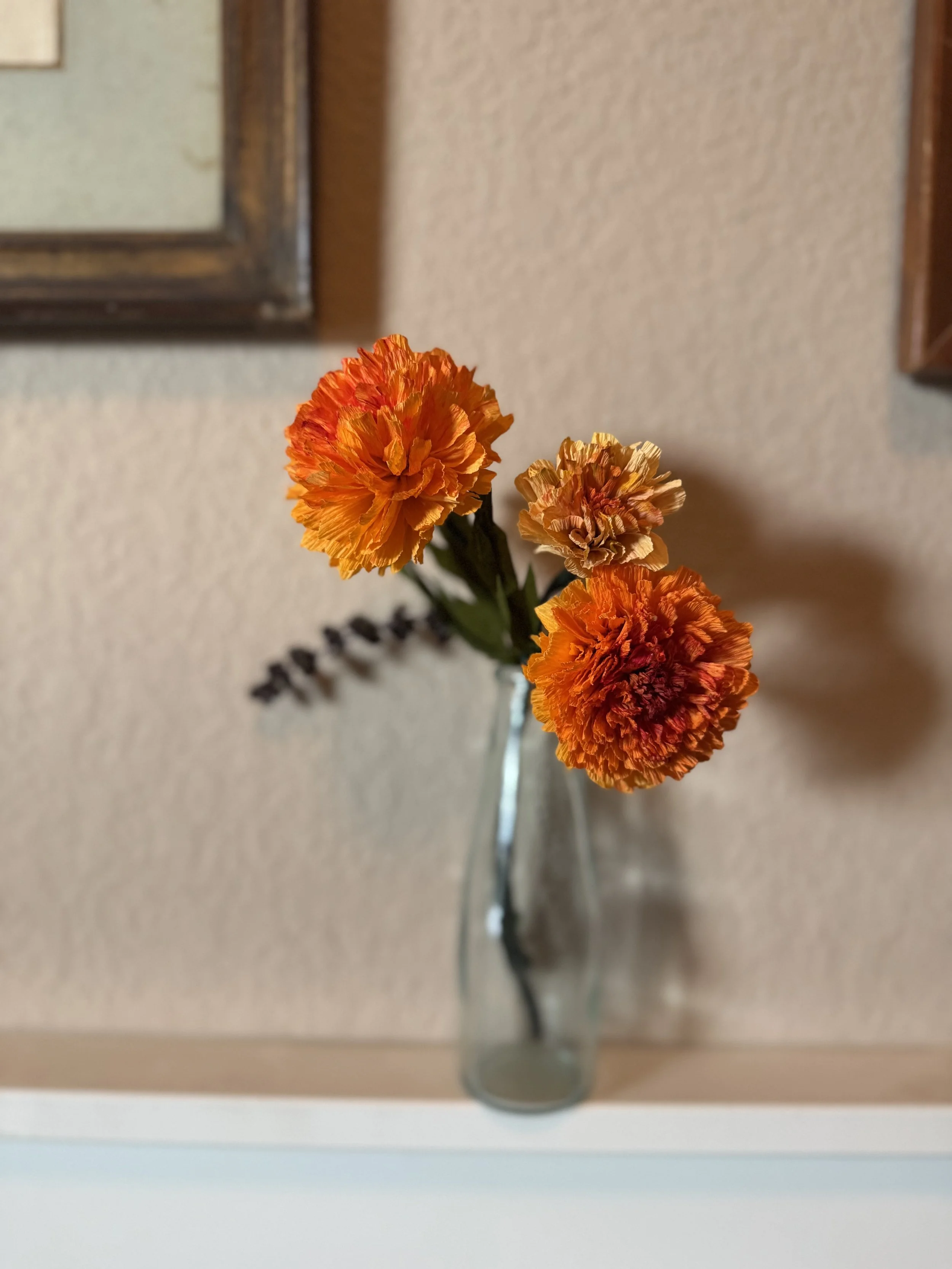 IMG_4621.jpeg
