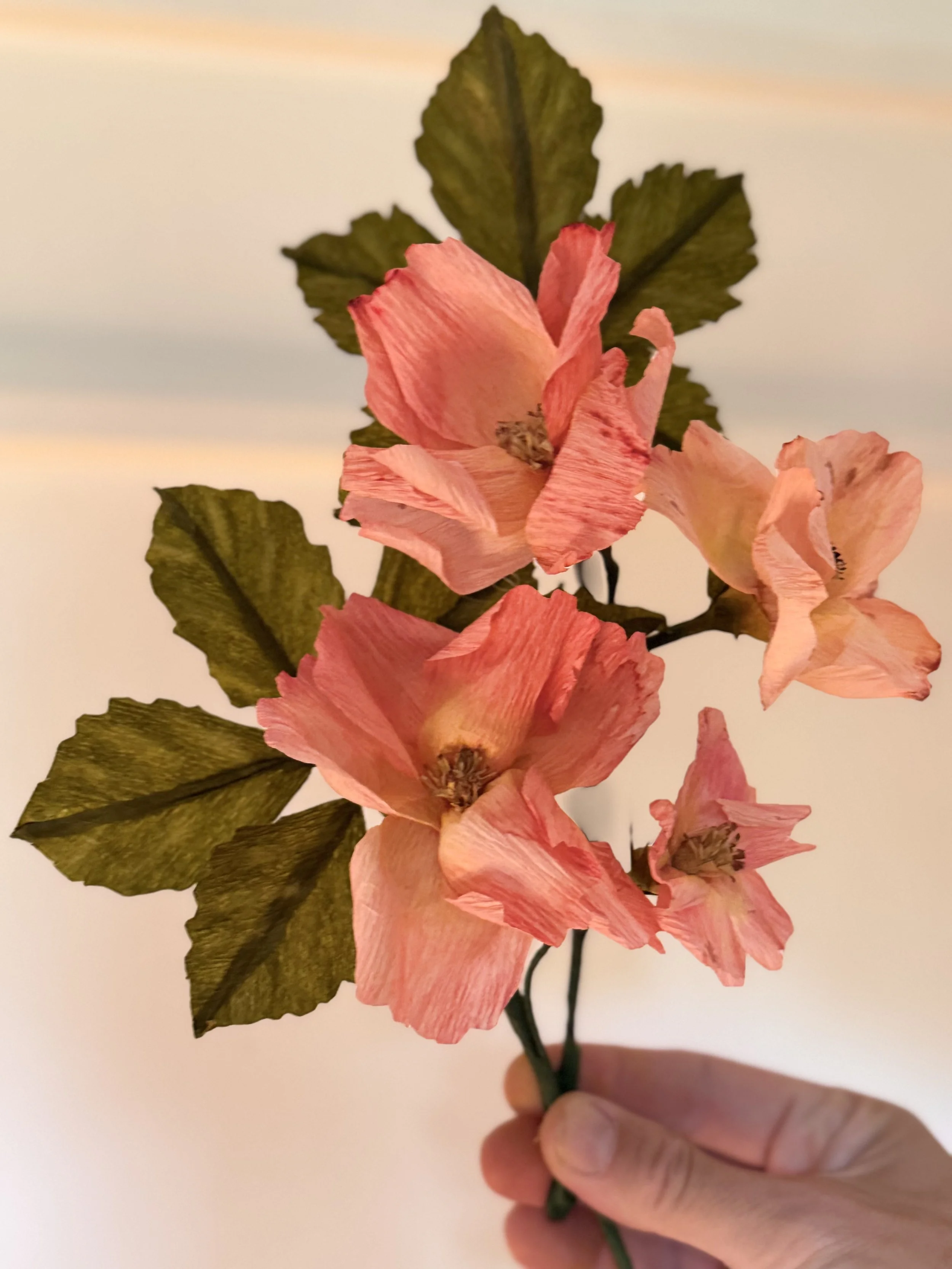 Wild Rose 005