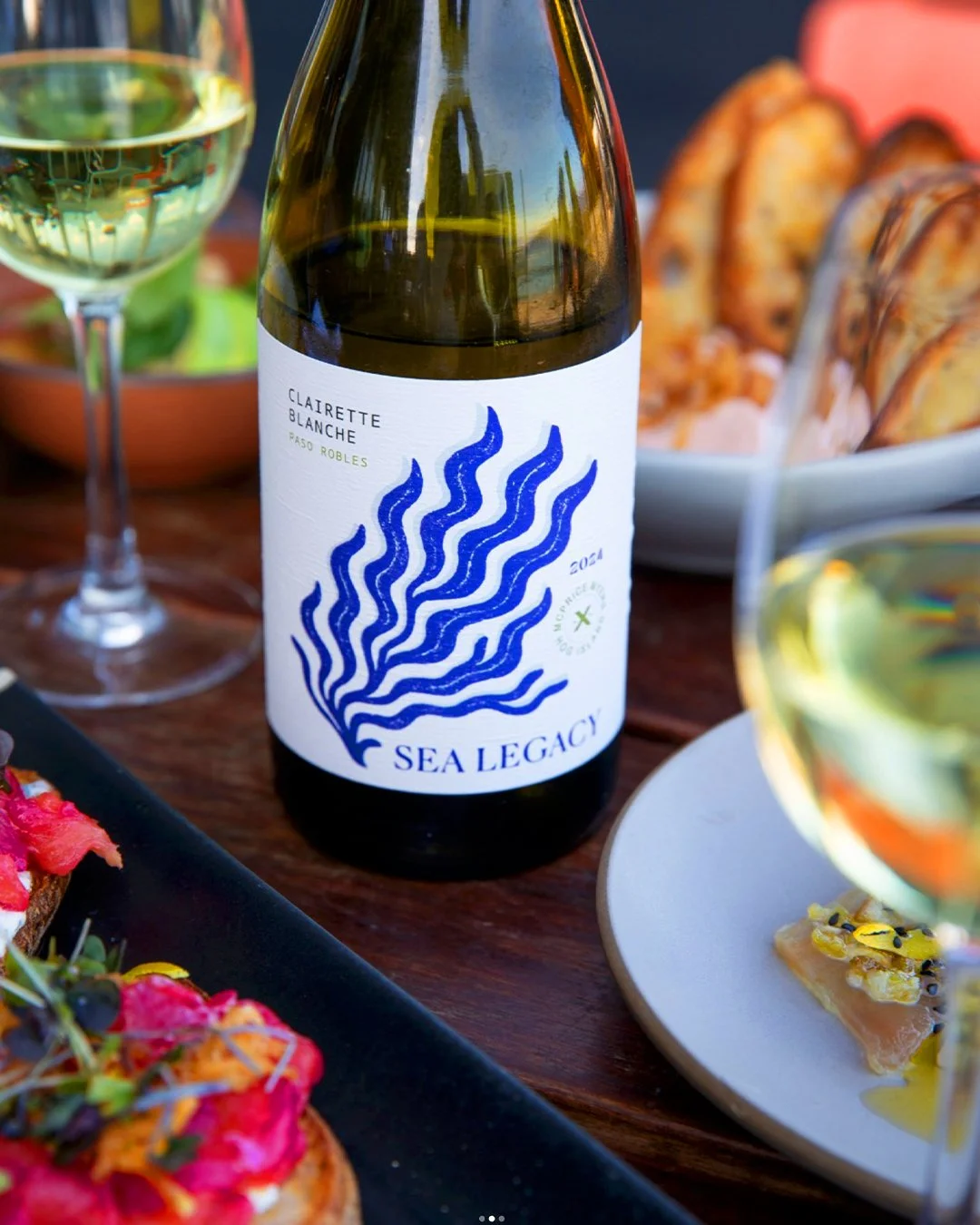 SeaLegacy_Gif copy.jpg