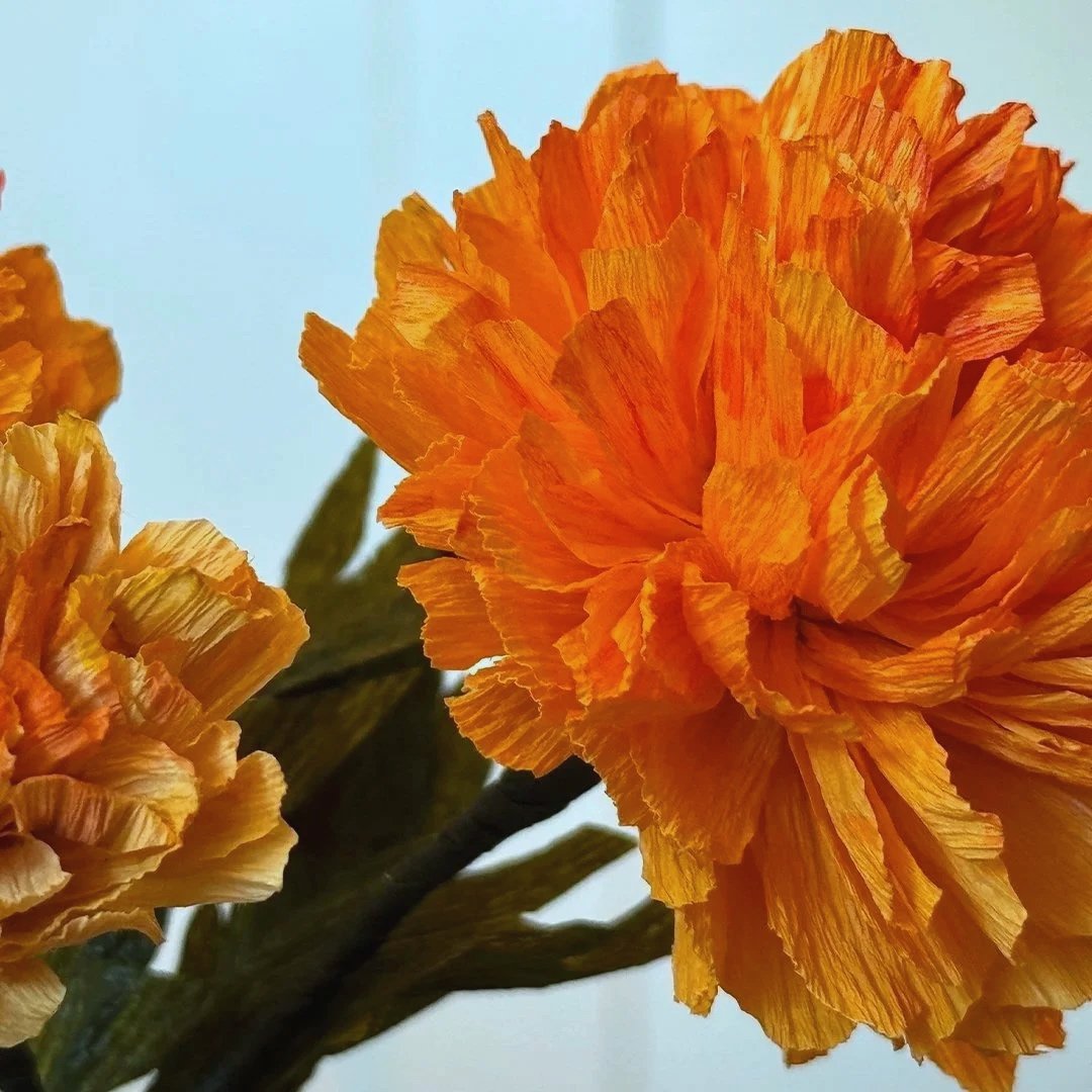Close-up of bright orange crepe paper flowers on a stem against a light background.