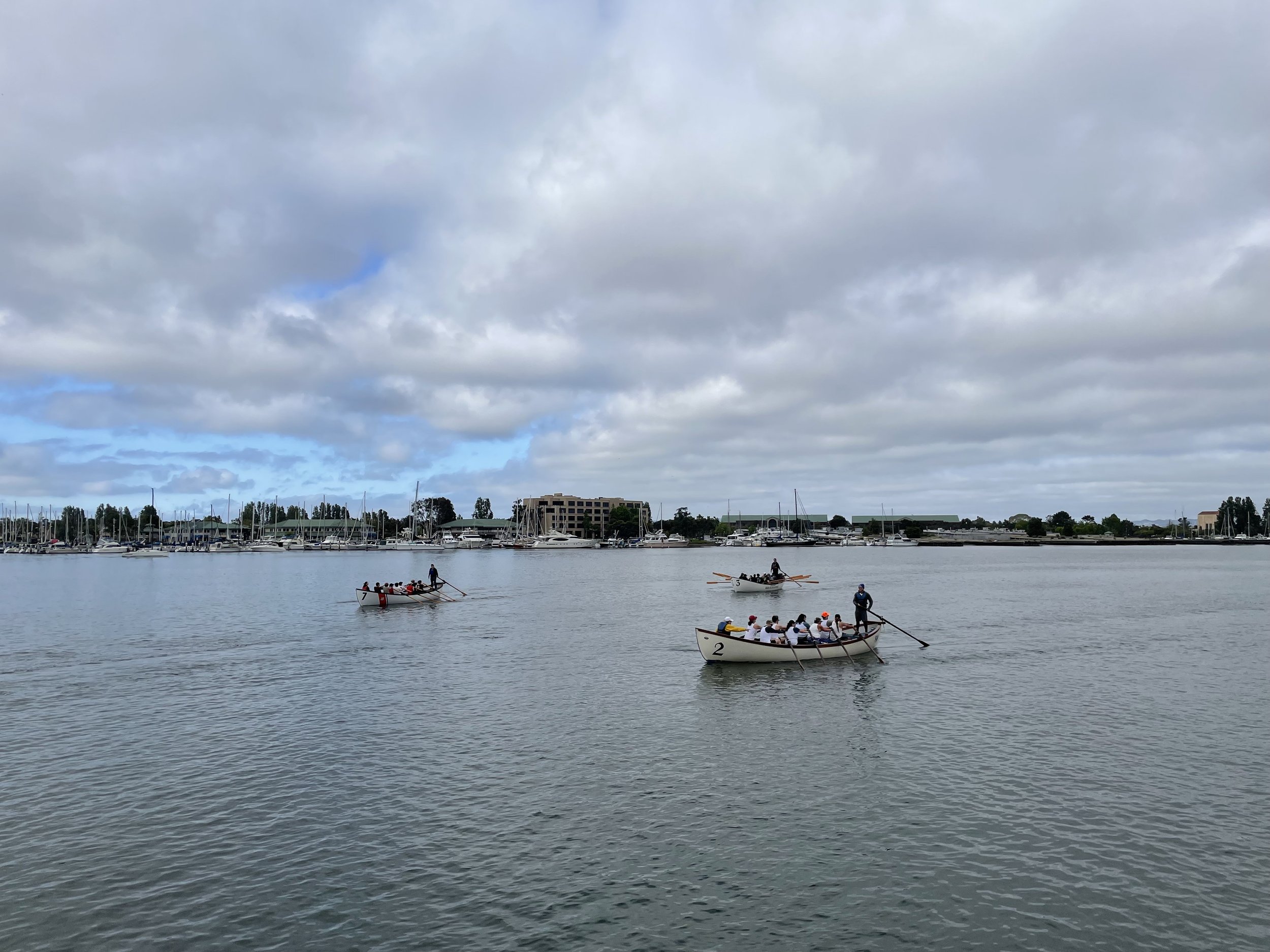 IMG_8065.jpg