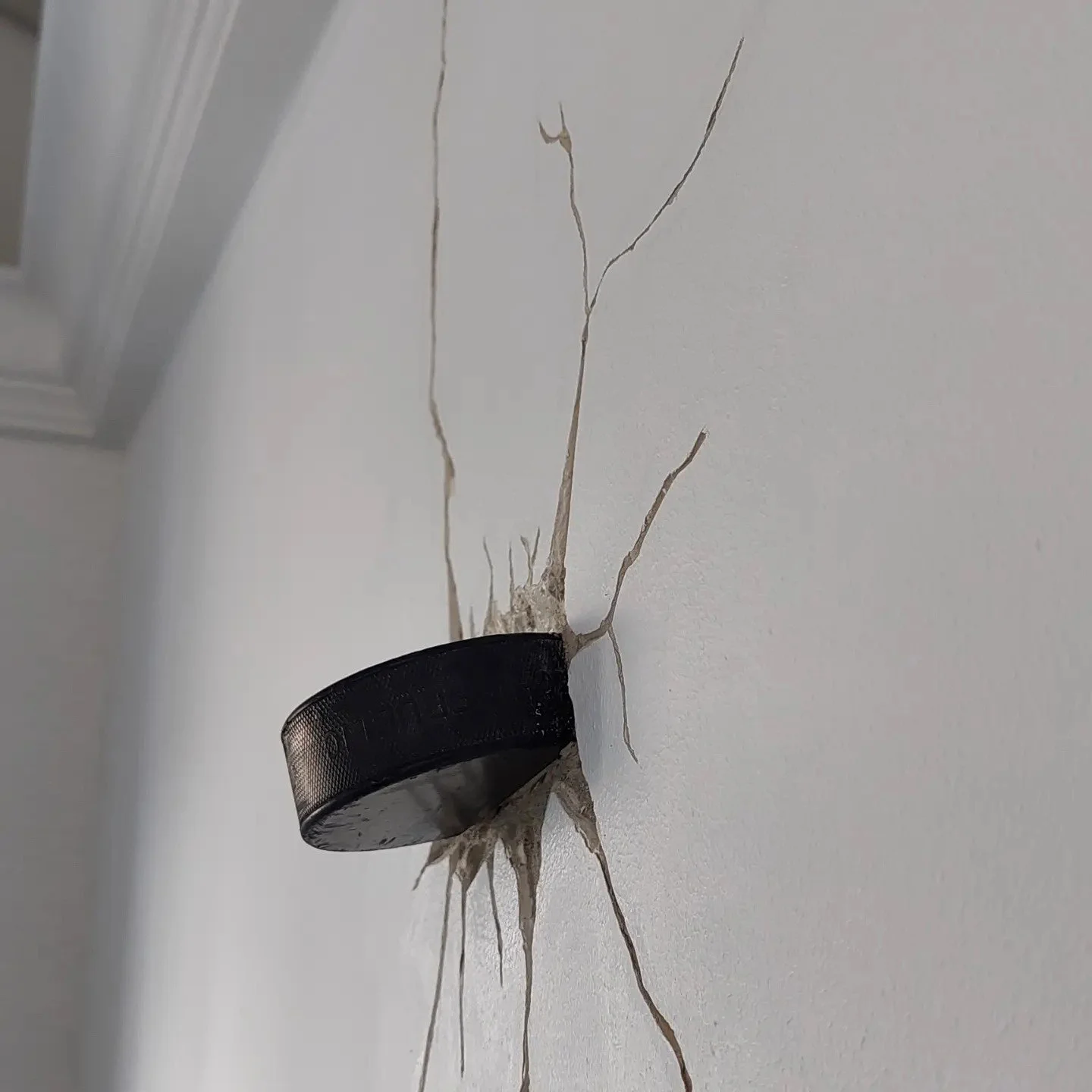 Individuelle Lösung für ein Hockeyfan