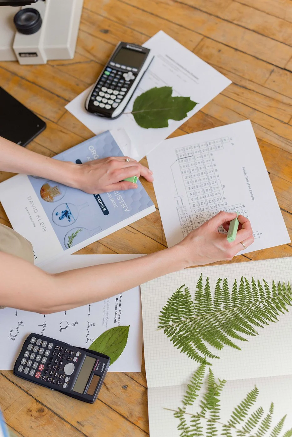Plants and scientific materials on scattered on the floor, including leaves, a fern illustration, a calculator, scientific papers, a leaf chart, and a microscope. A woman's arm can be seen working on a chart.