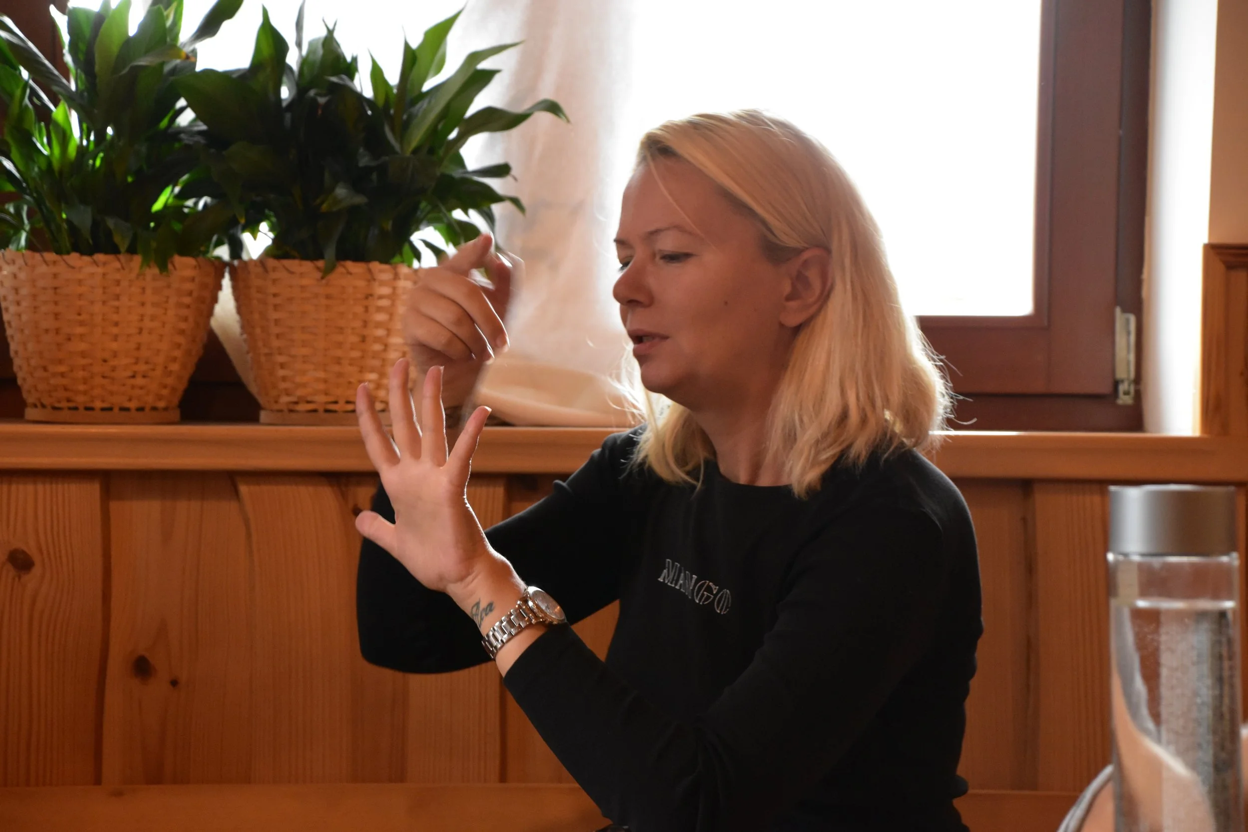 Why We Translate - A Series