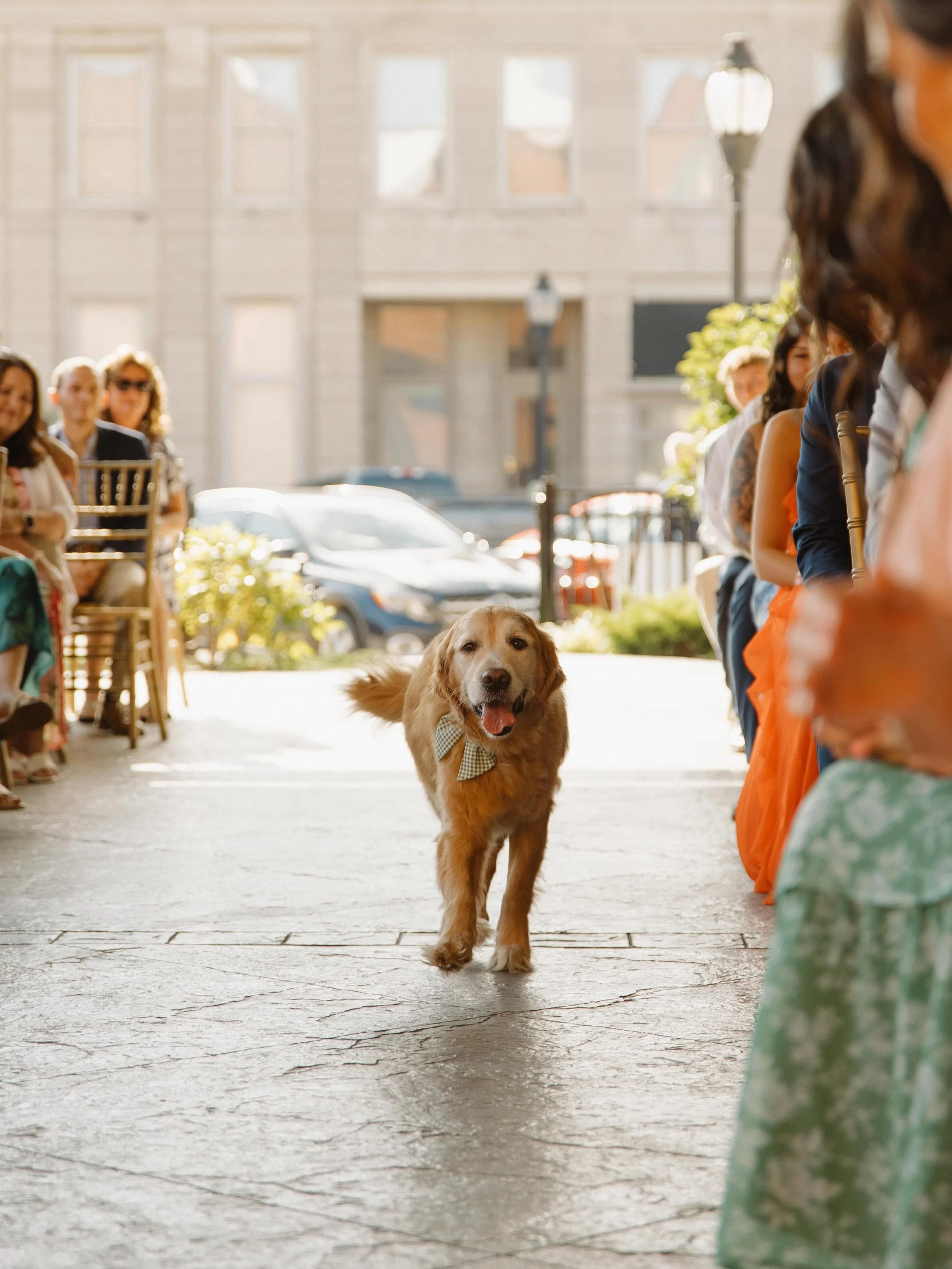 When your pup steals the show 🥰🐶

We&rsquo;ve had so many sweet fur babies in our weddings lately! Whether they&rsquo;re walking down the aisle or just popping over for a photo opp, we love to see it. 🤍

Photos featuring Olivia + Trey&rsquo;s swee