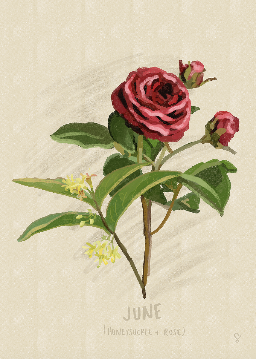 Screenshot 2026-01-11 at 2.28.27 PM.png