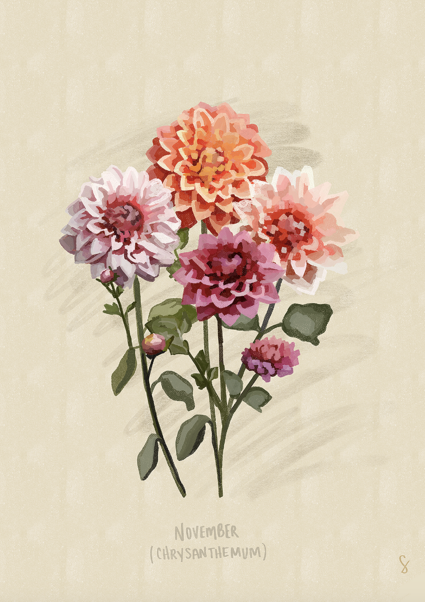 Screenshot 2026-01-11 at 2.27.58 PM.png