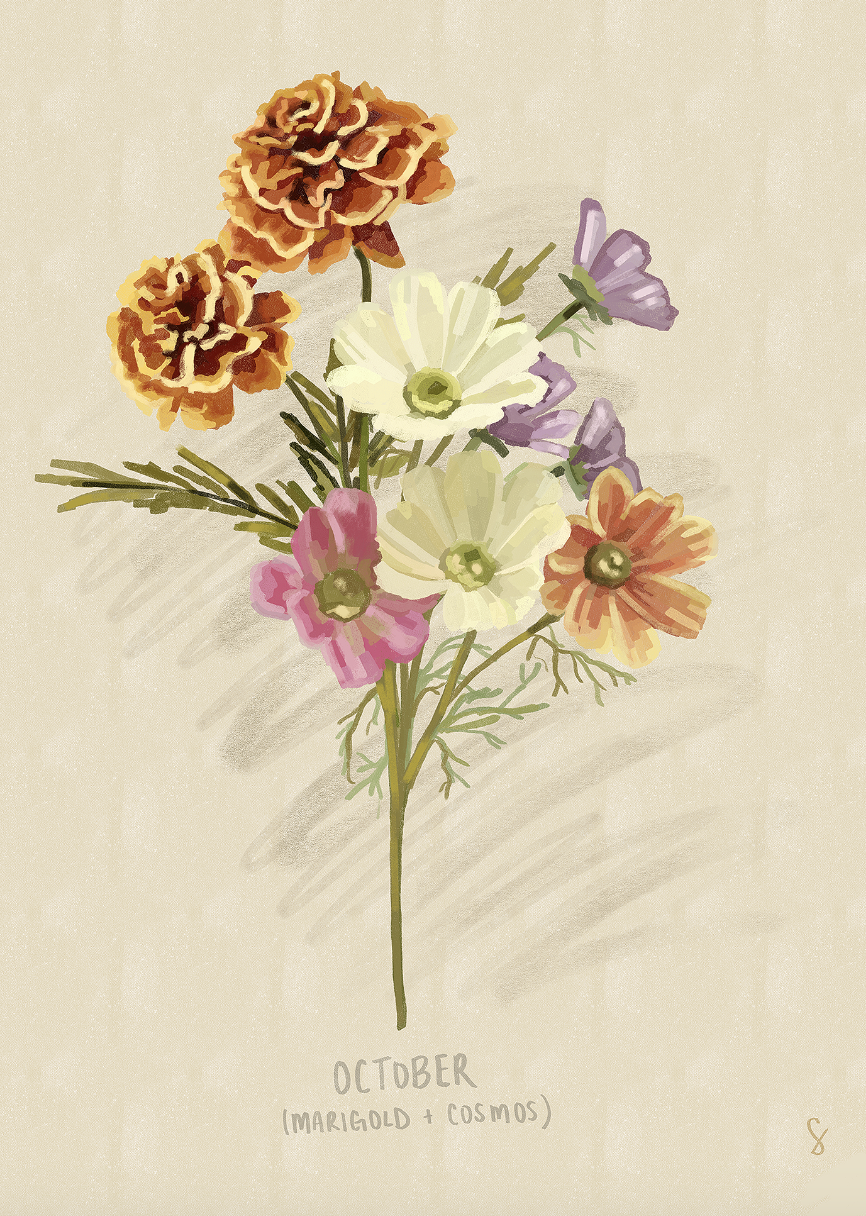 Screenshot 2026-01-11 at 2.28.46 PM.png