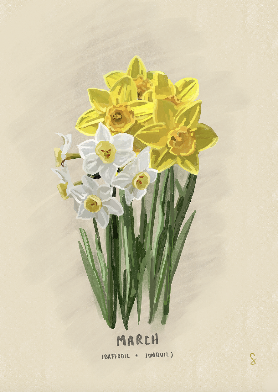 Screenshot 2026-01-11 at 2.27.48 PM.png